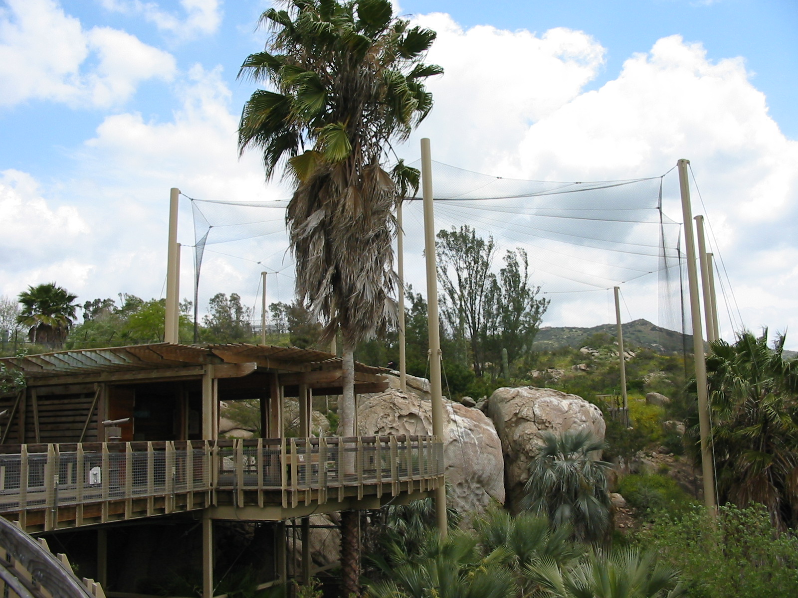 Wild Animal Park 2003 - California Condor enclosure