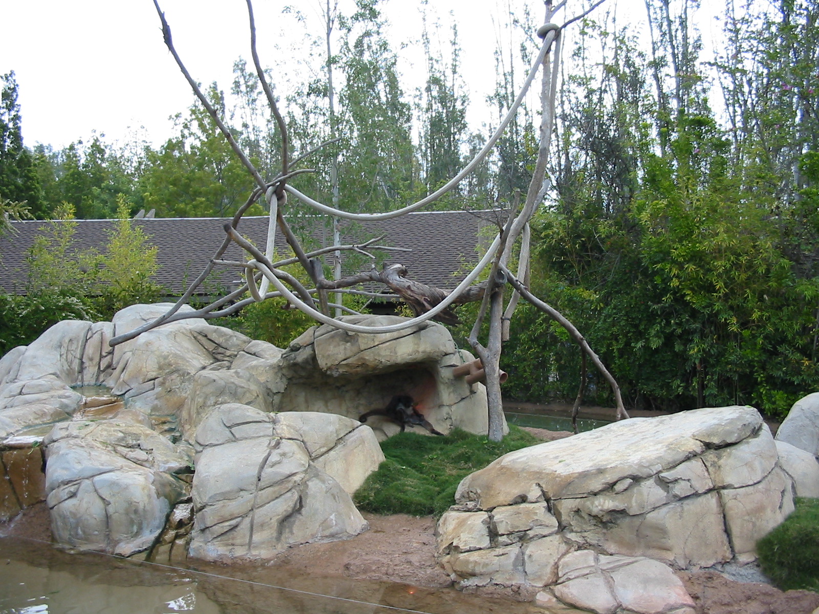 Wild Animal Park 2003 - Spider Monkey exhibit
