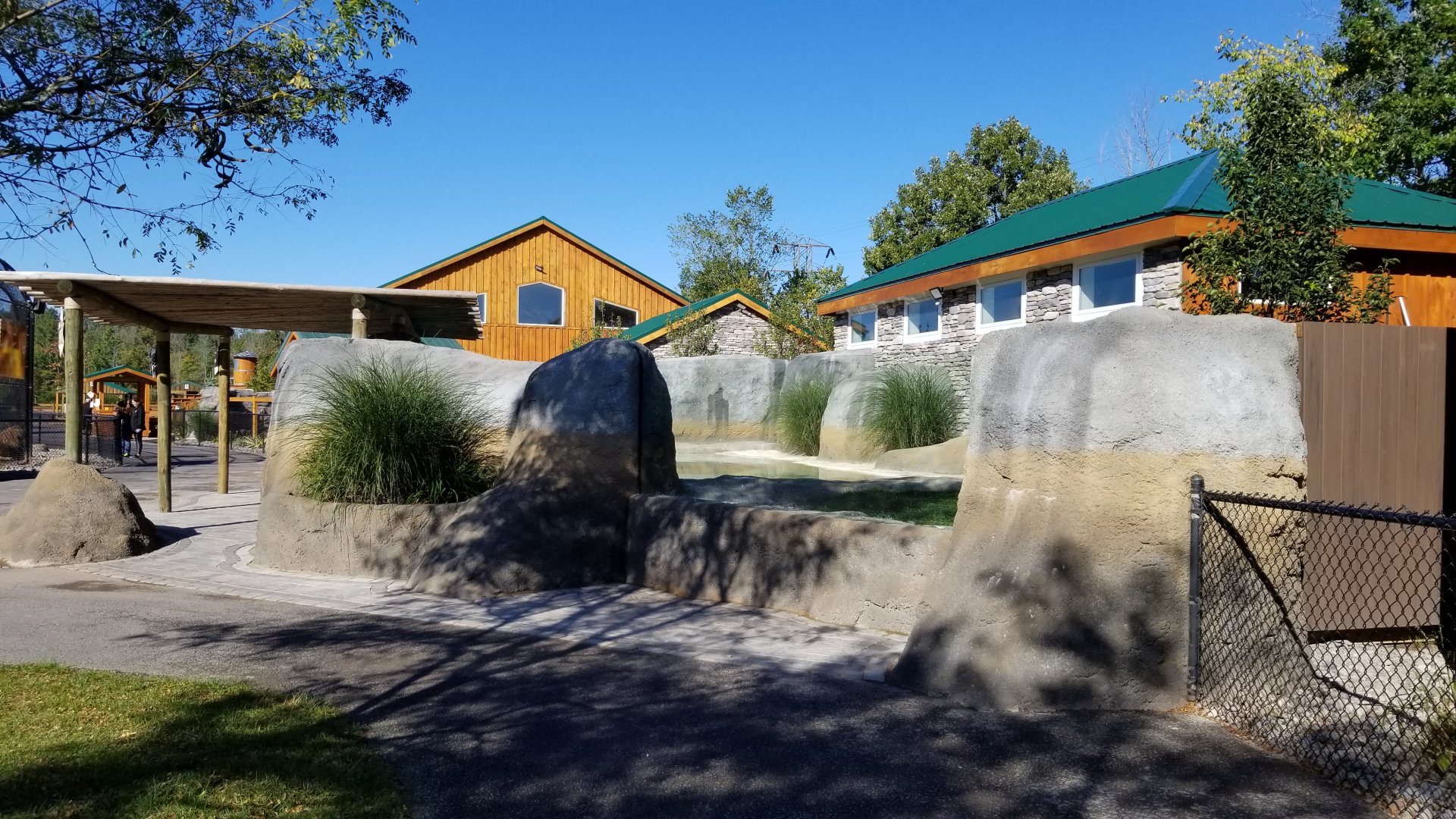 Wild Animal Park - African penguins