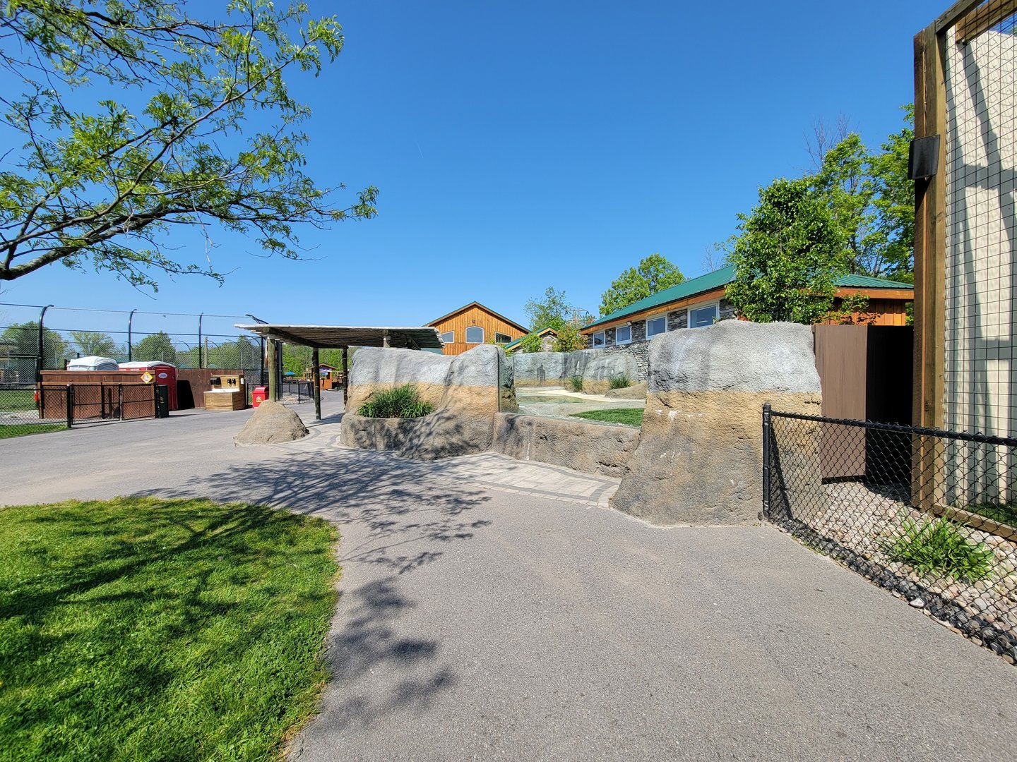 Wild Animal Park - African penguins