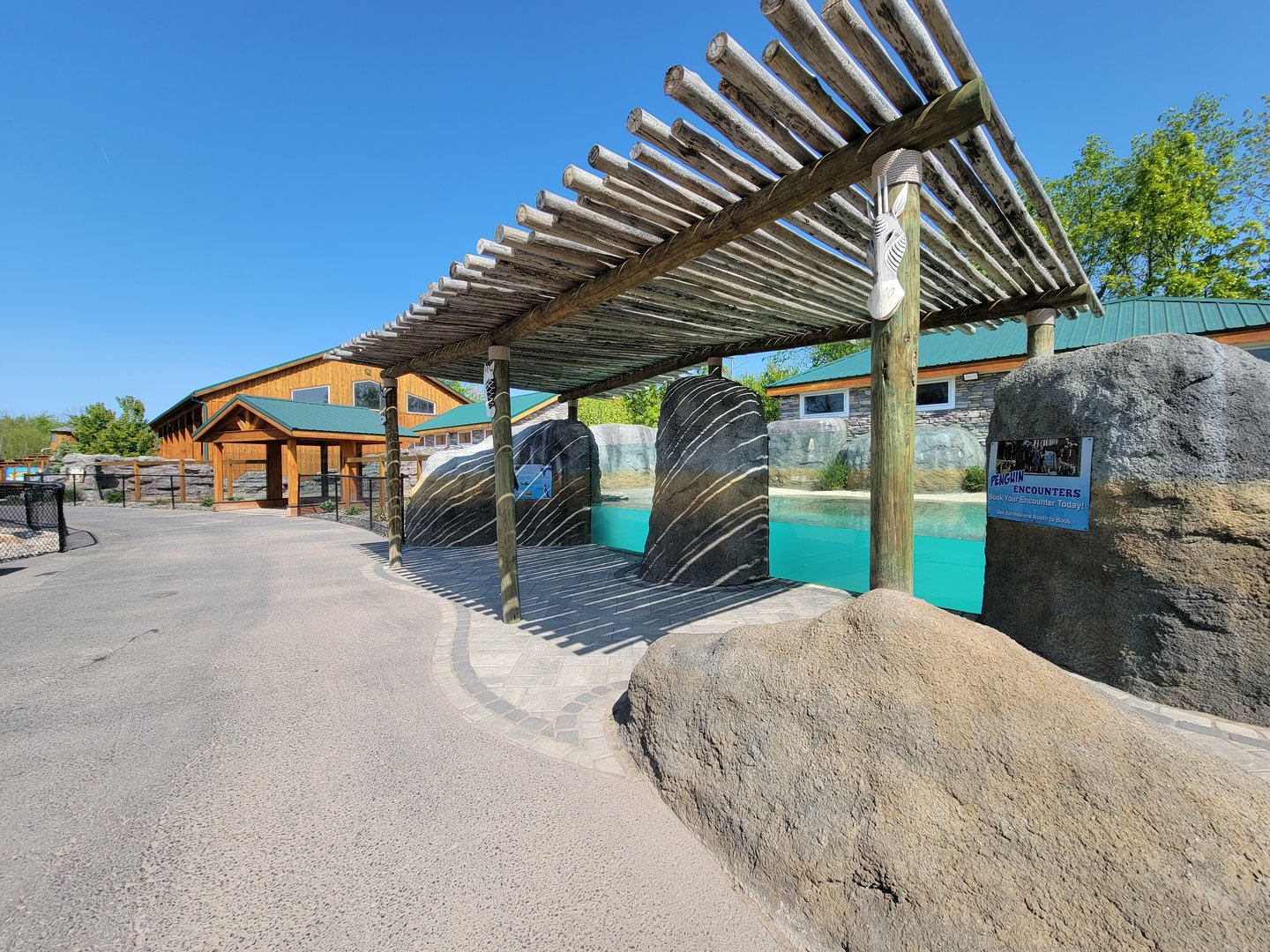 Wild Animal Park - African penguins