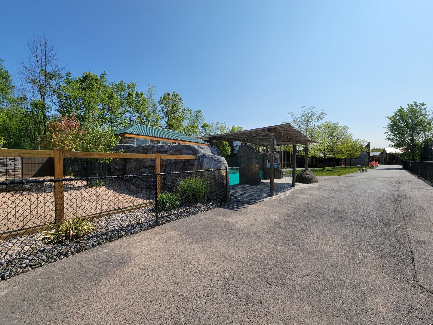 Wild Animal Park - African penguins