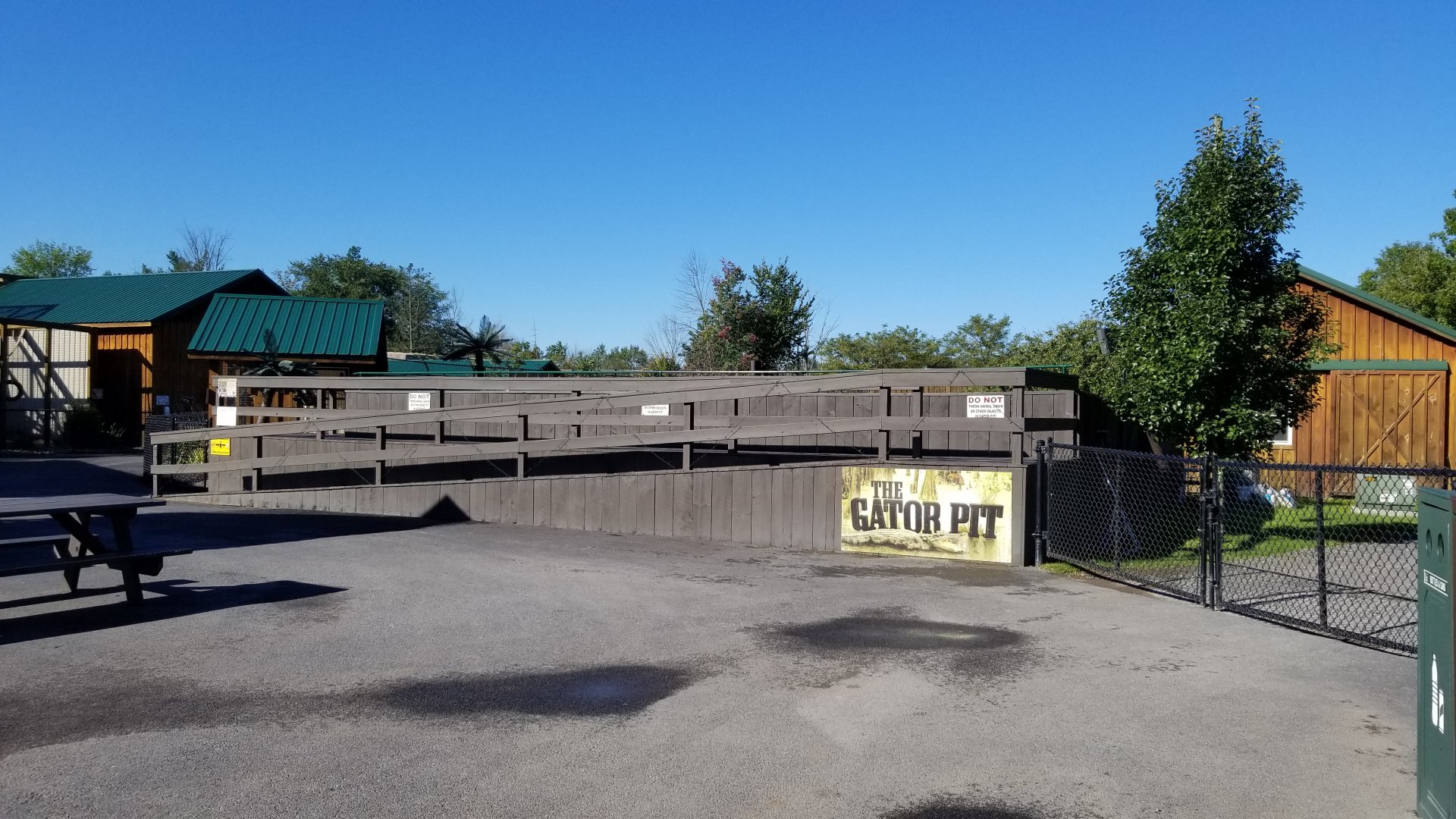 Wild Animal Park - American alligators