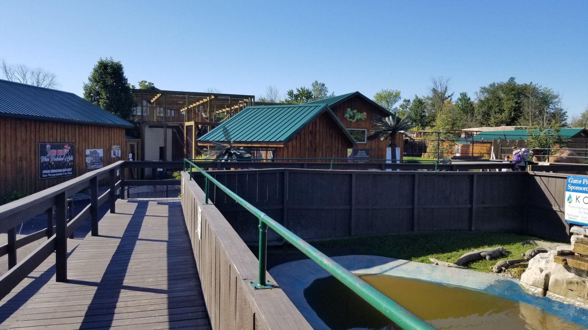 Wild Animal Park - American alligators