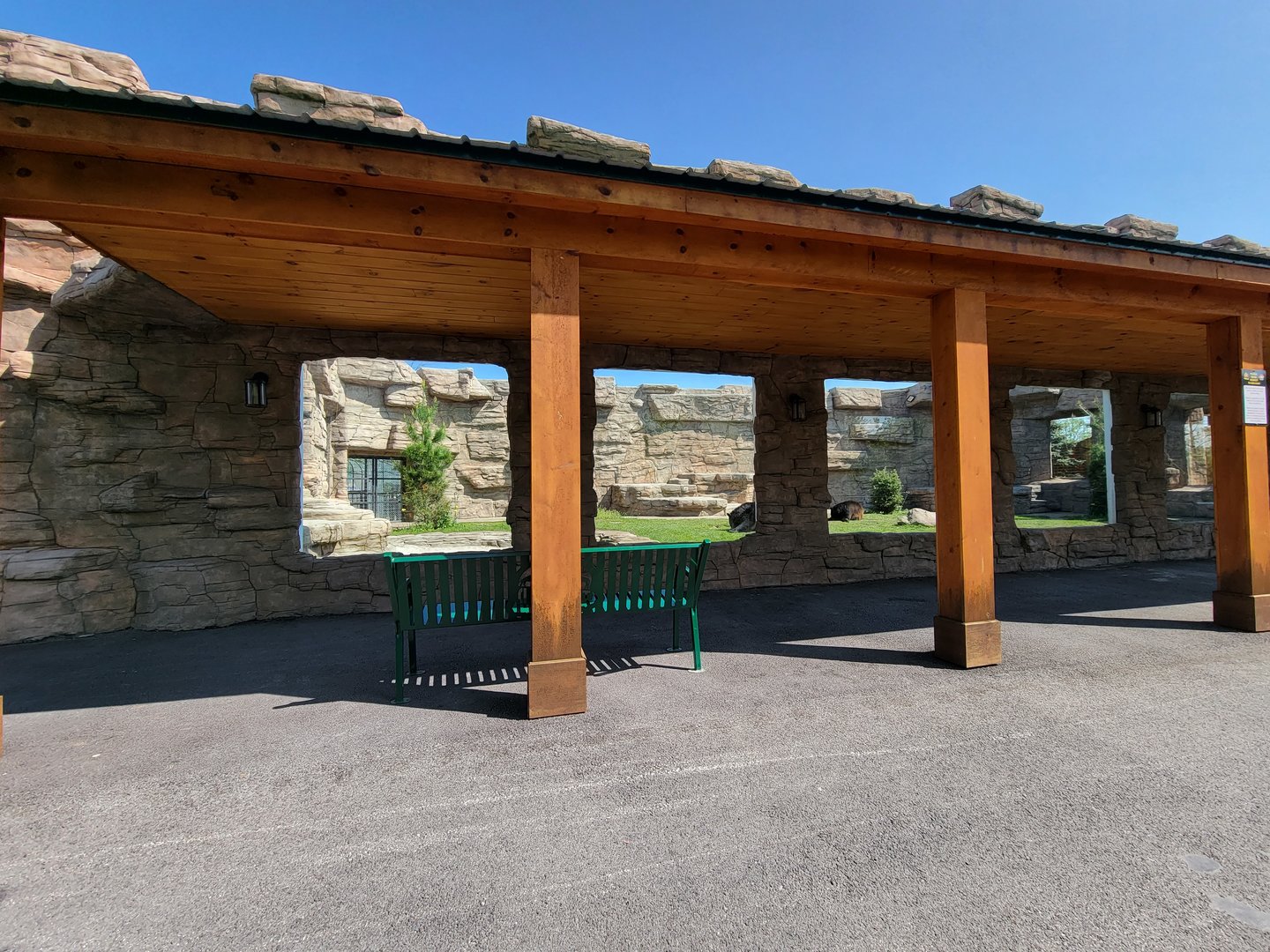 Wild Animal Park - American black bears