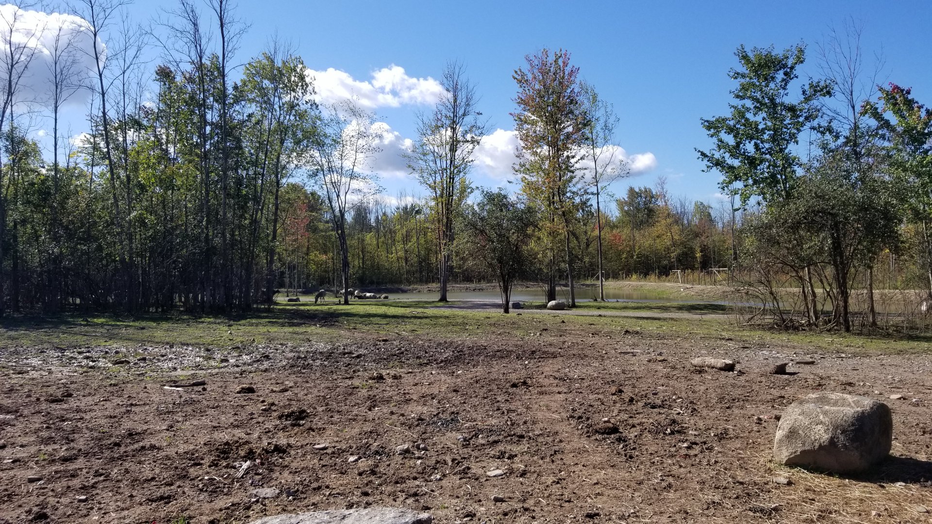 Wild Animal Park - Another pond