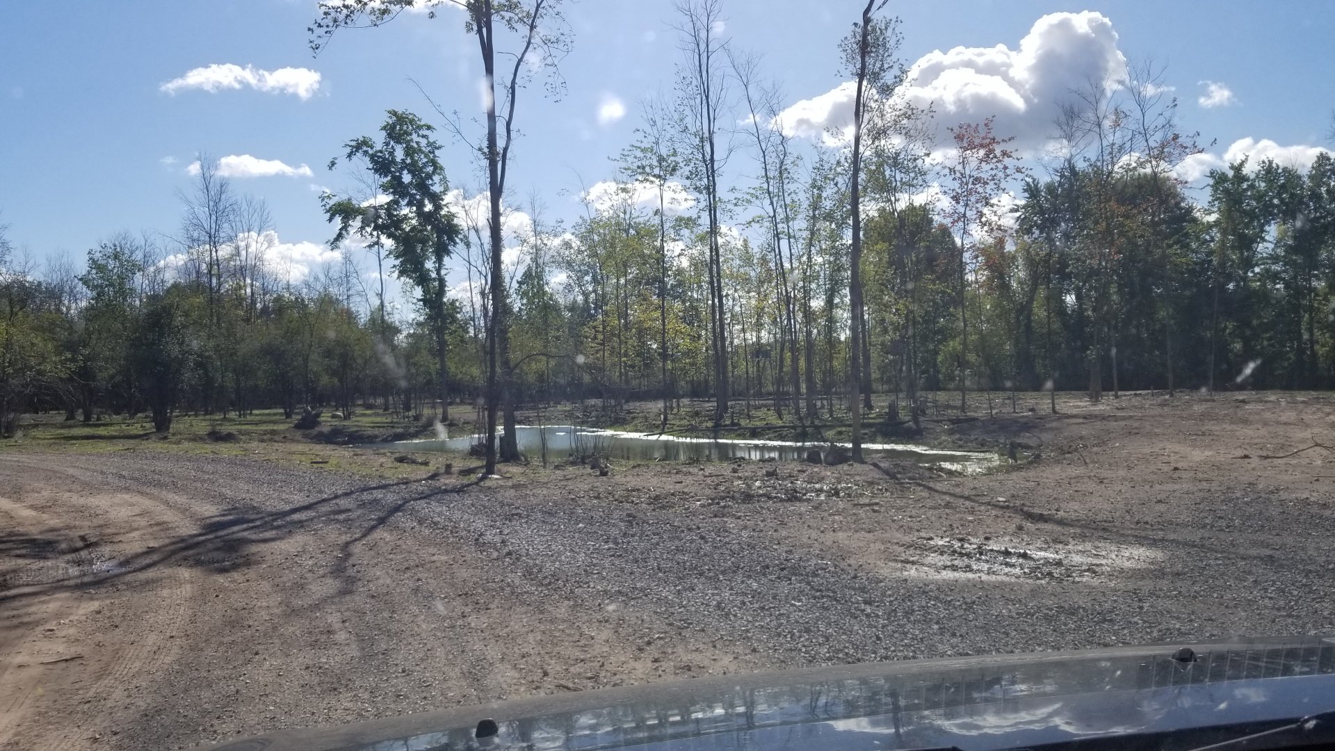 Wild Animal Park - Another pond