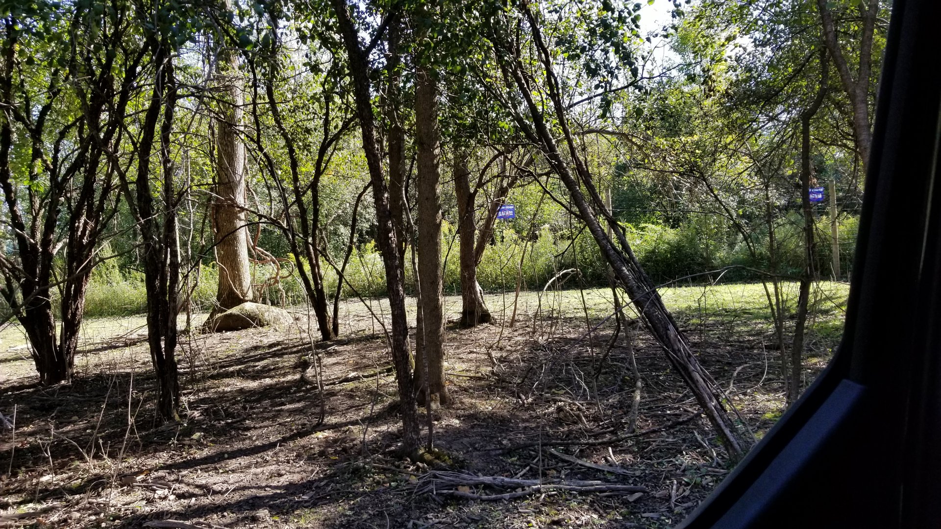 Wild Animal Park - Anti-zoo signs on back of property facing the drive through