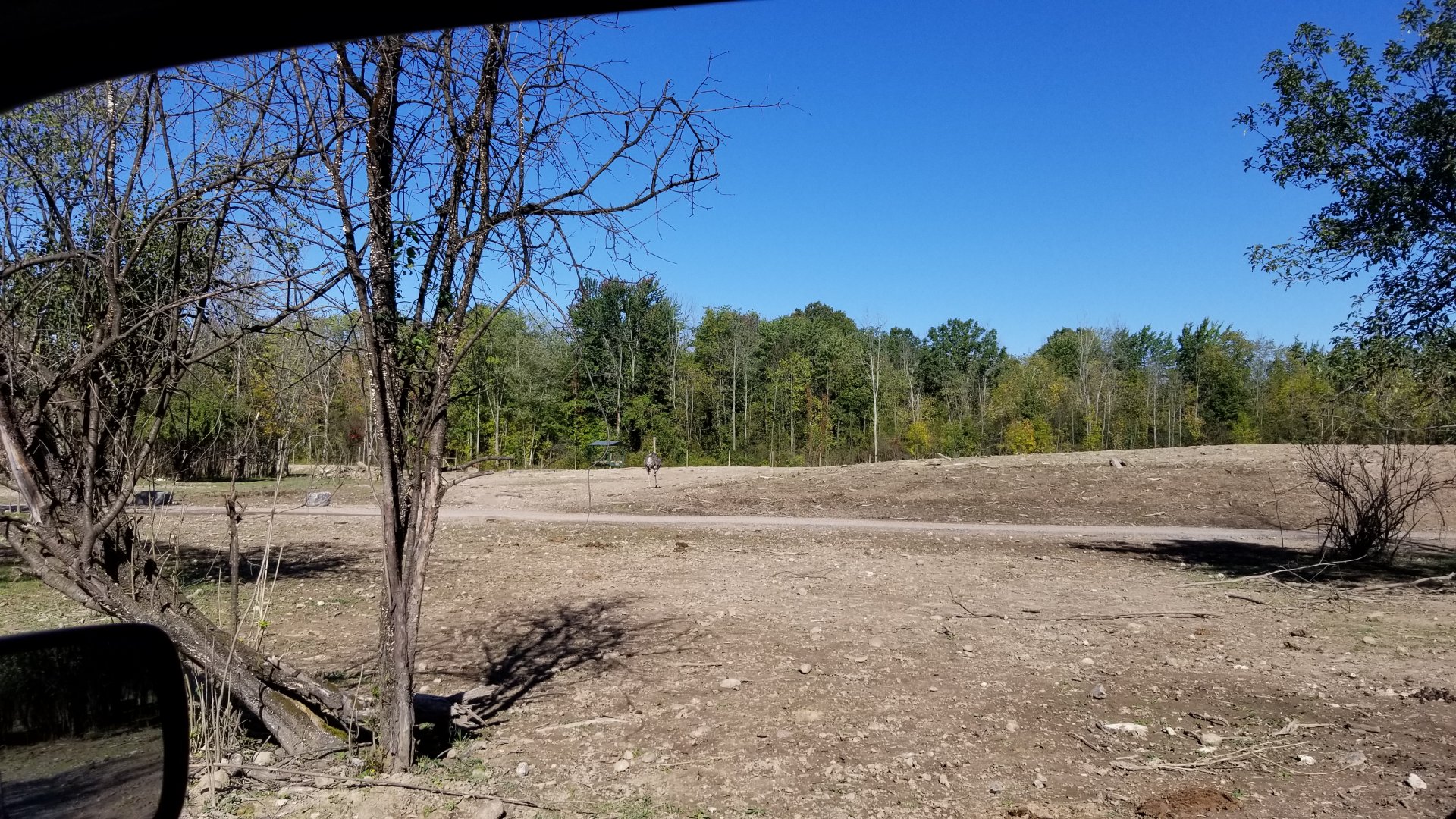 Wild Animal Park - Area that looks new