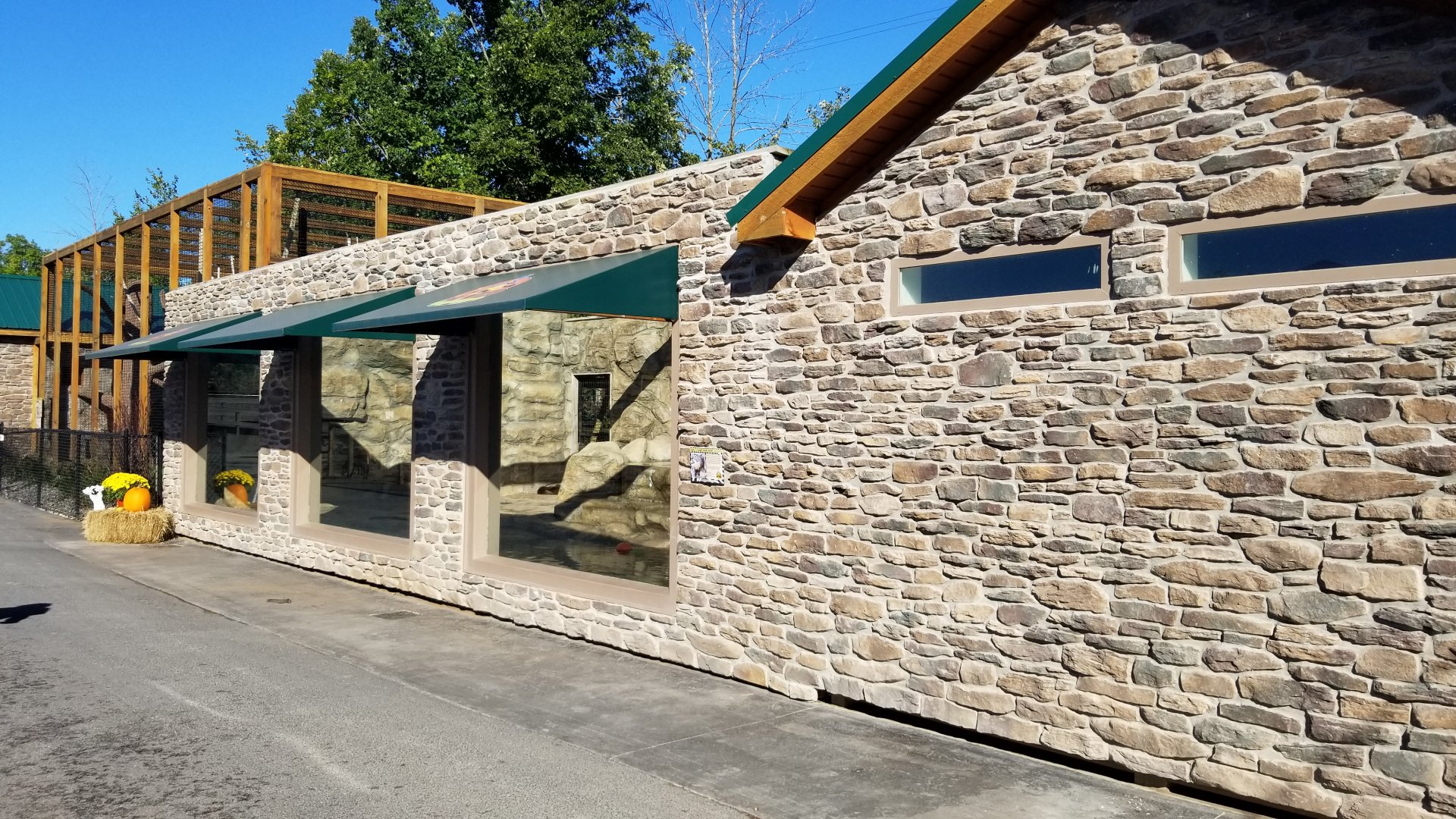 Wild Animal Park - Asian small clawed otter