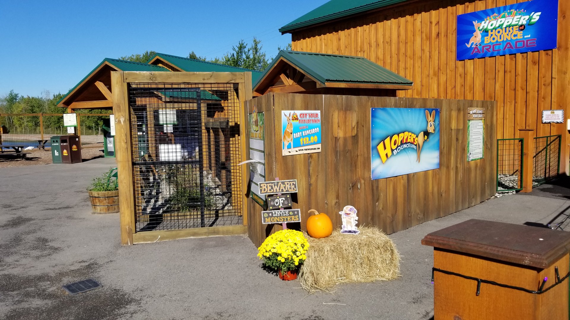 Wild Animal Park - Baby kangaroo photo op area (empty)