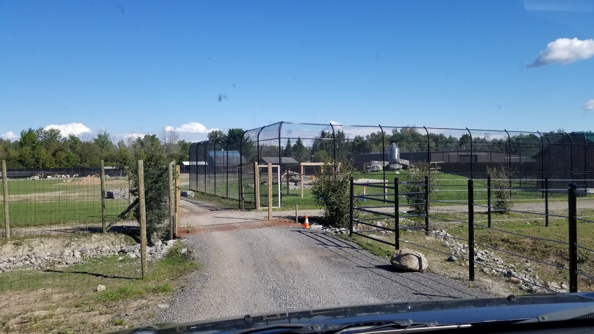 Wild Animal Park - Back into first area, tiger exhibit