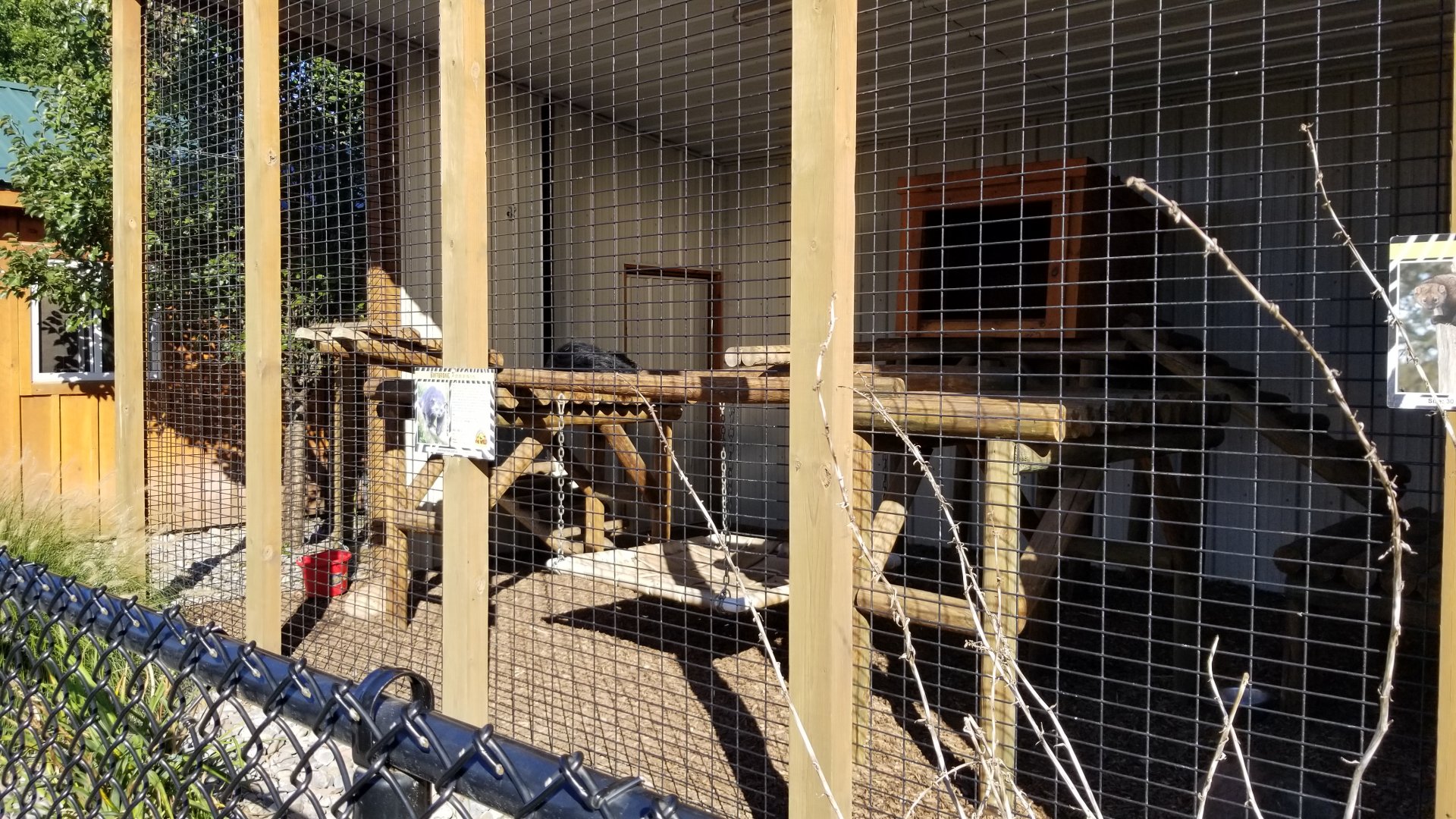 Wild Animal Park - Binturong