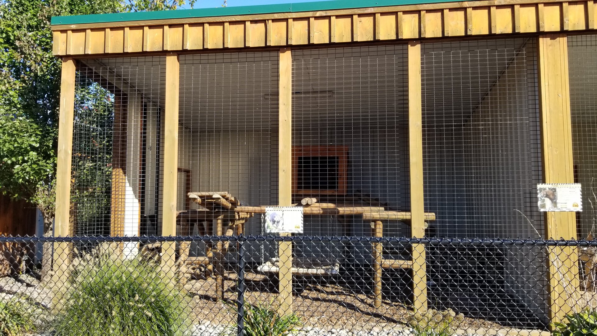 Wild Animal Park - Binturong