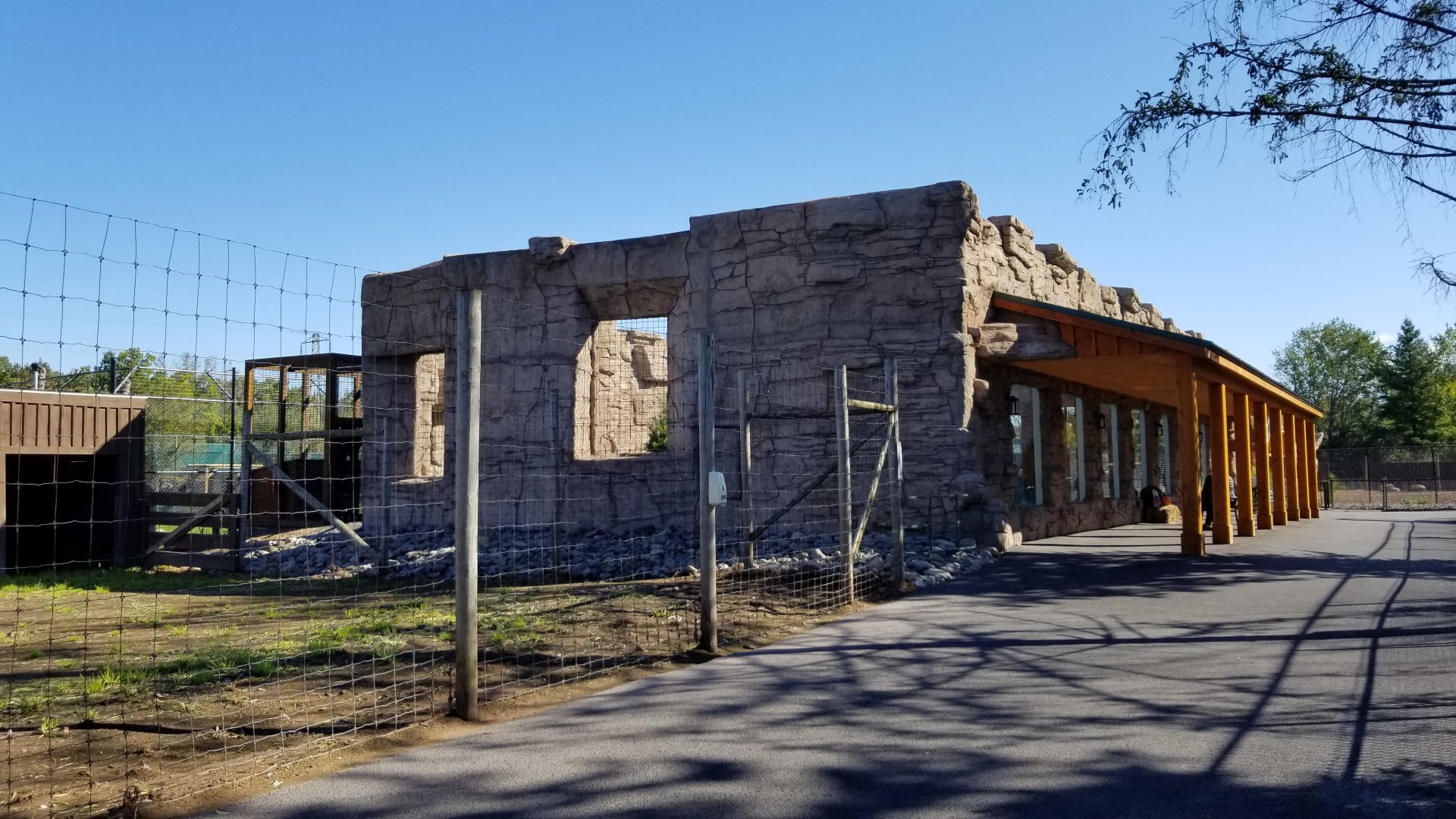 Wild Animal Park - Black bears