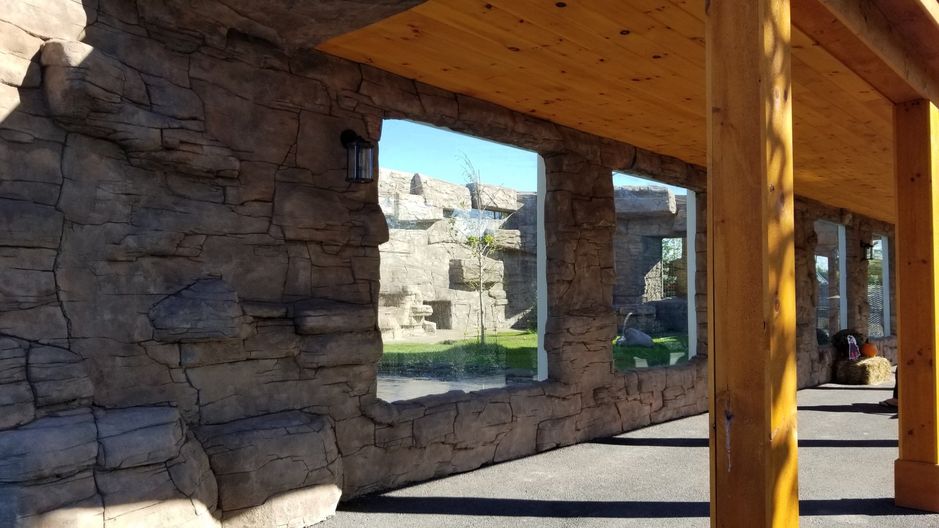 Wild Animal Park - Black bears