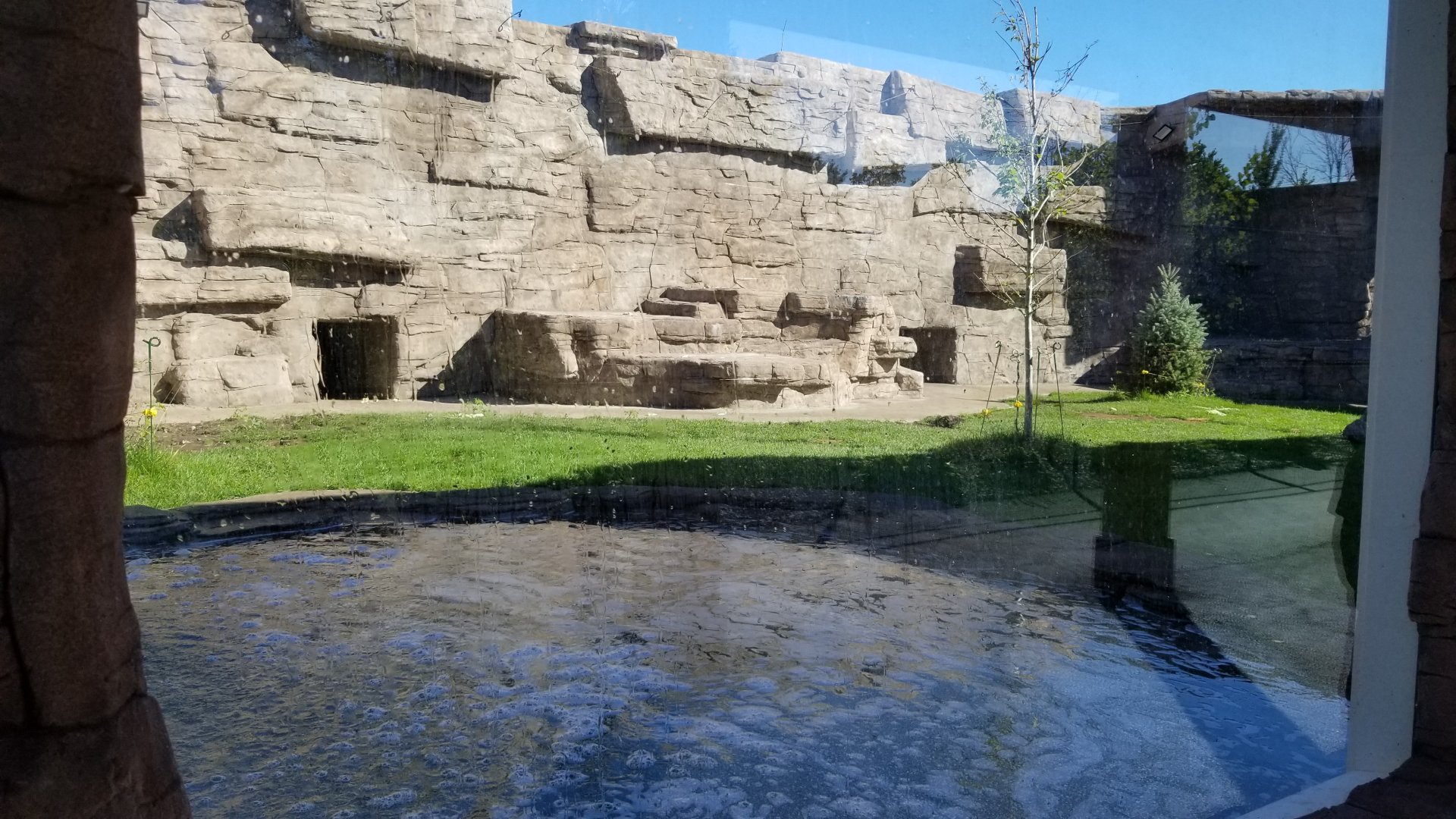 Wild Animal Park - Black bears
