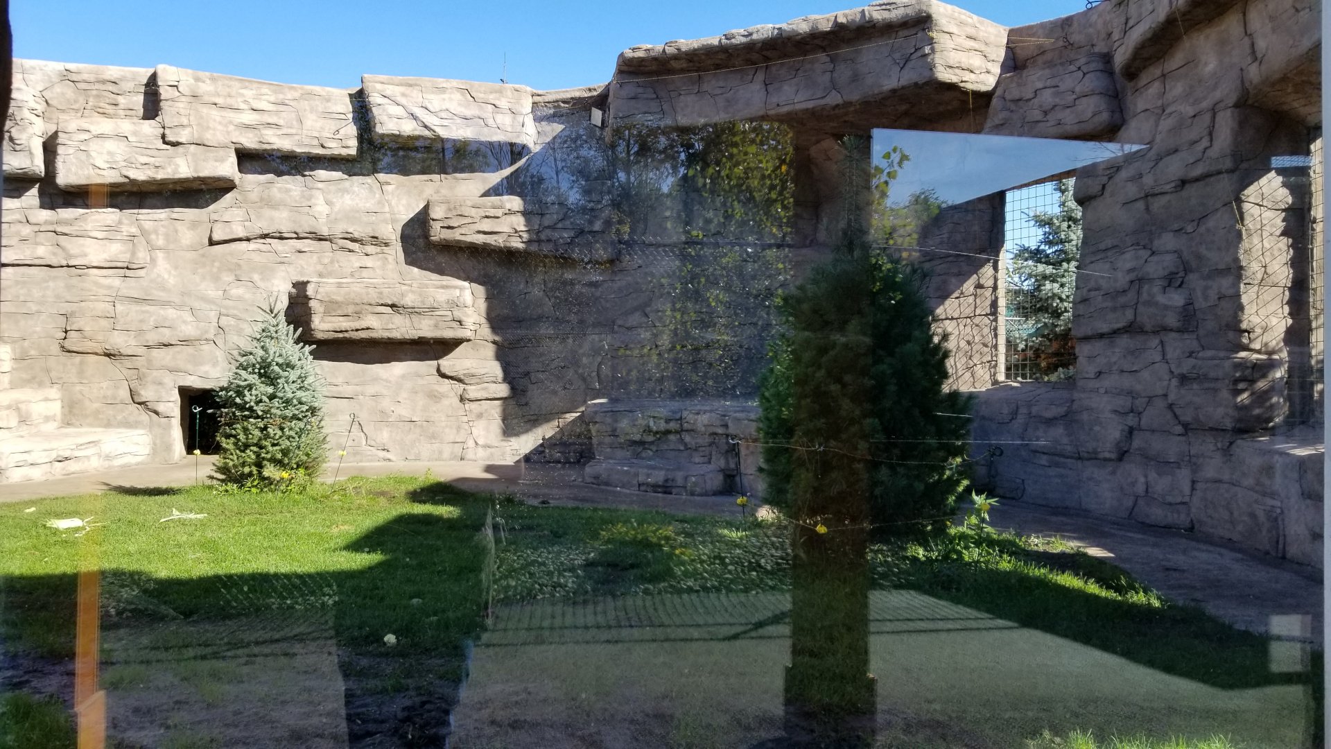 Wild Animal Park - Black bears