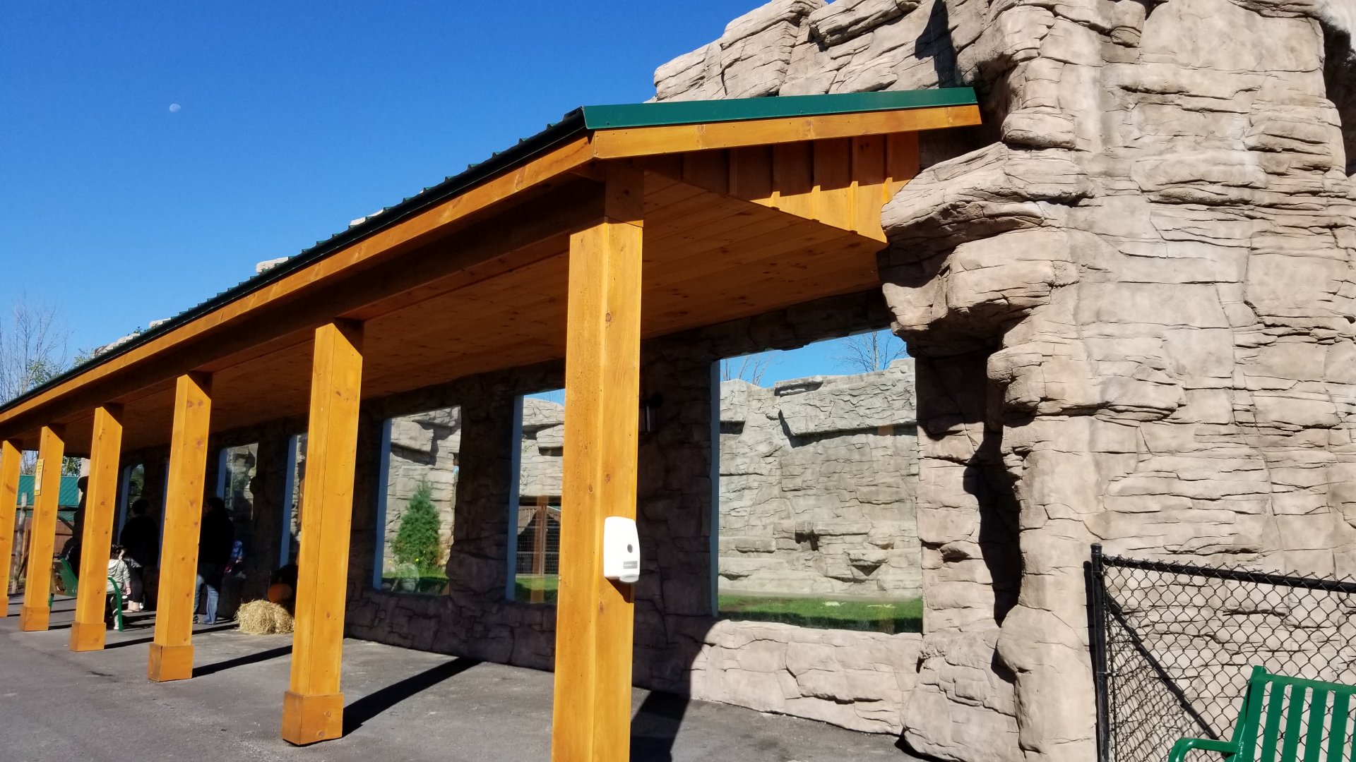 Wild Animal Park - Black bears