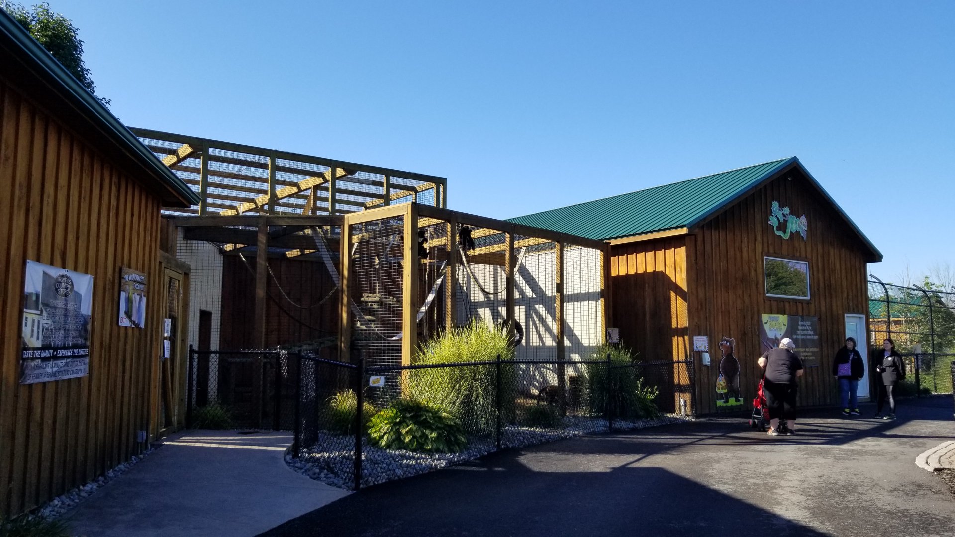 Wild Animal Park - Black-handed spider monkey