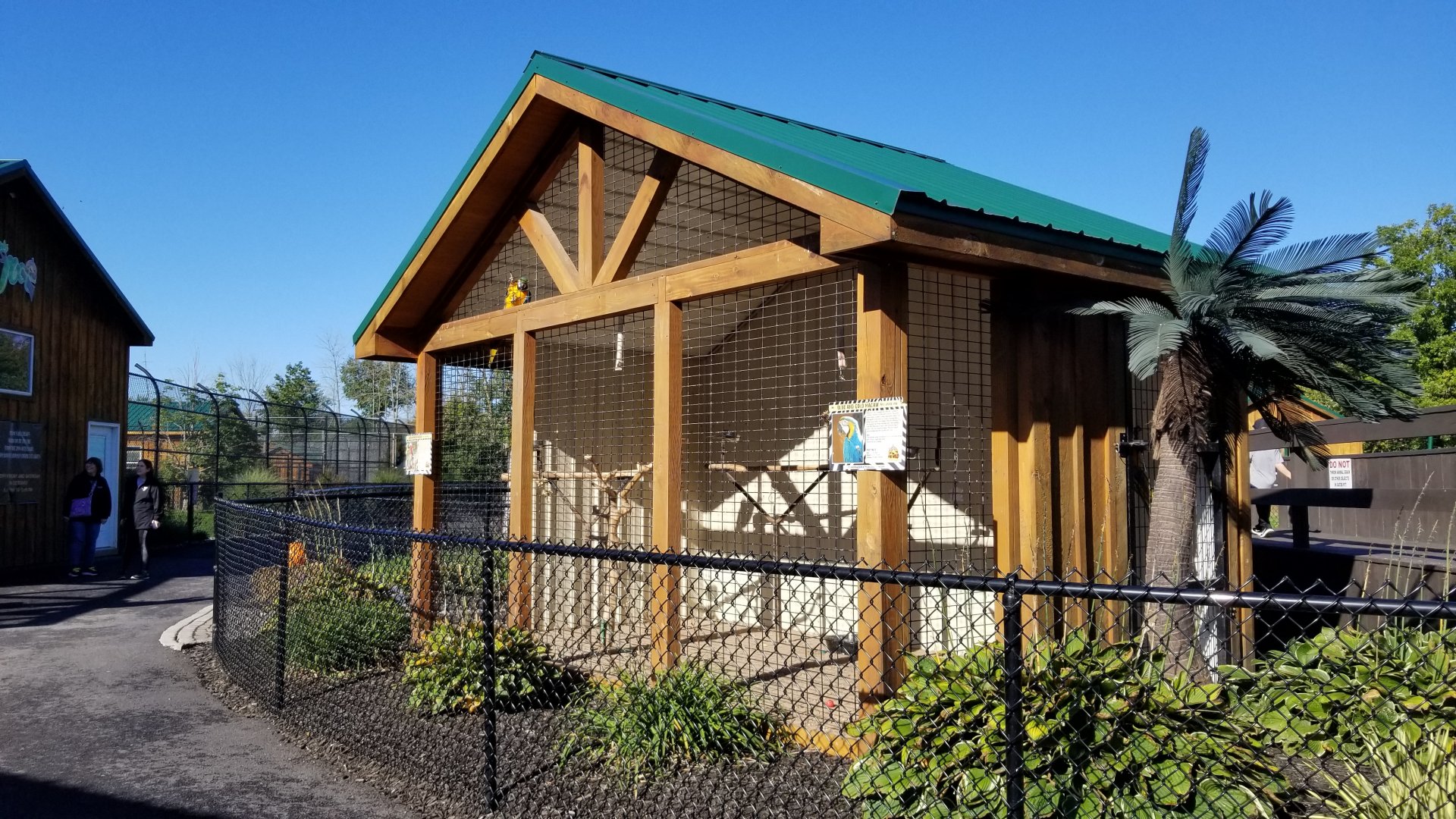 Wild Animal Park - Blue & gold macaws