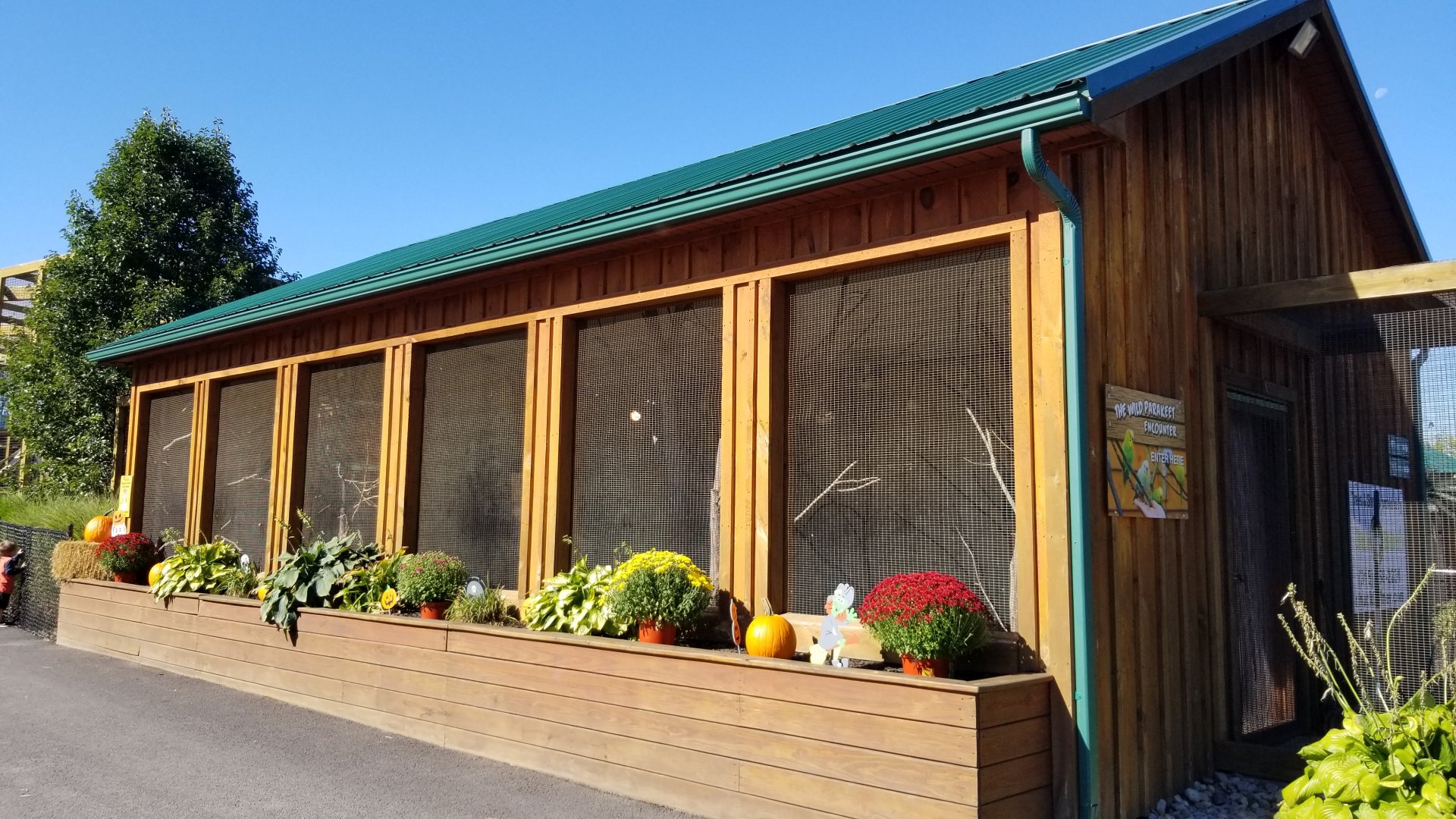 Wild Animal Park - Budgie aviary