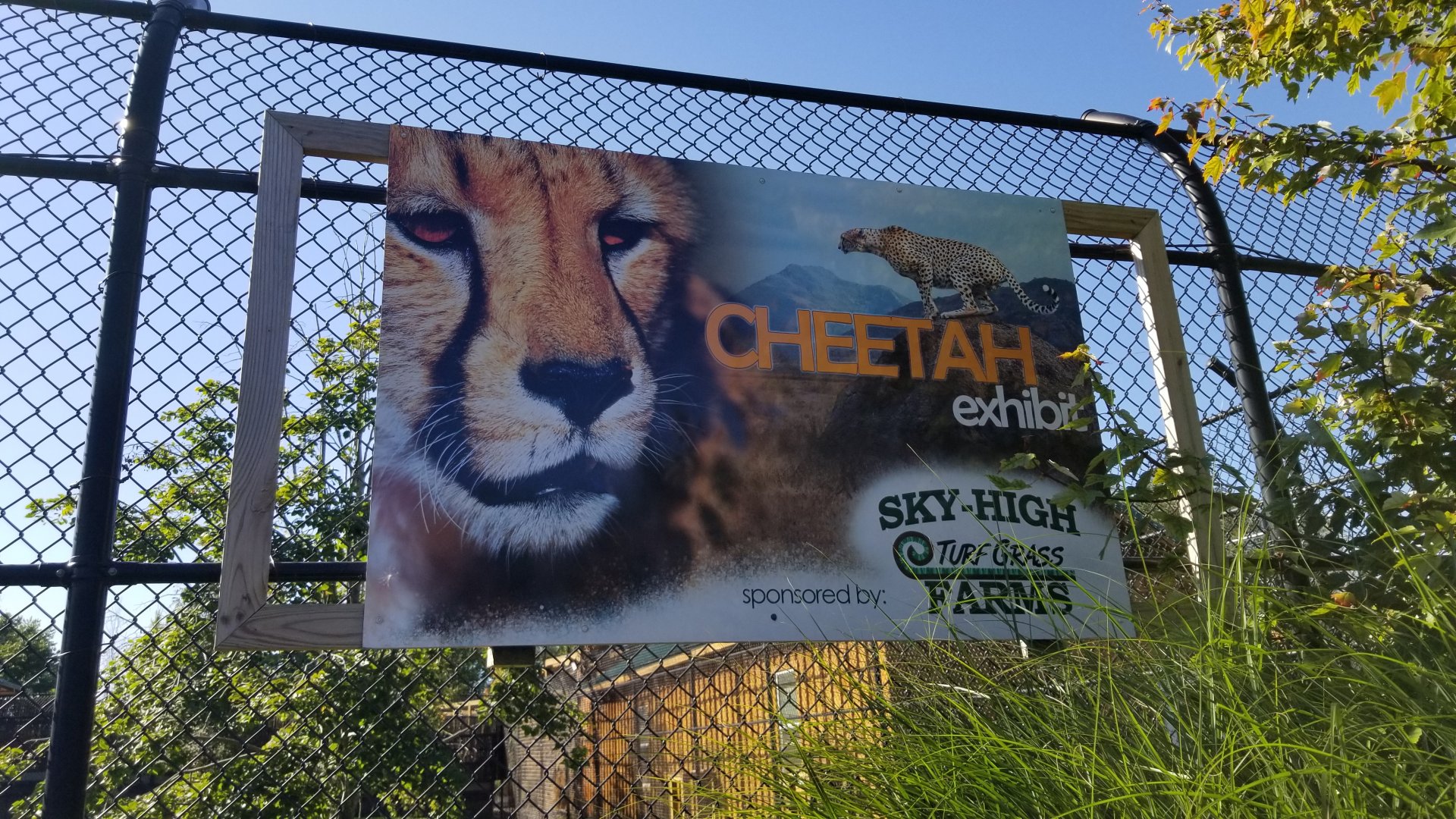 Wild Animal Park - Cheetah sponsorship sign