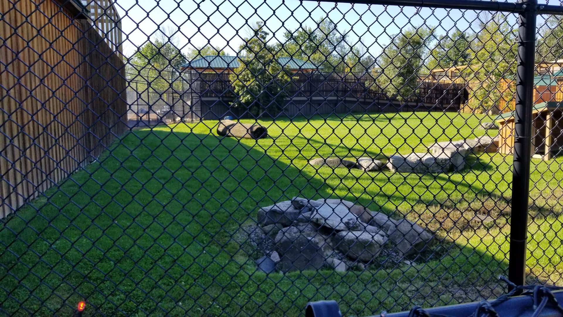 Wild Animal Park - Cheetah yard, back fence is giraffe feeding platform