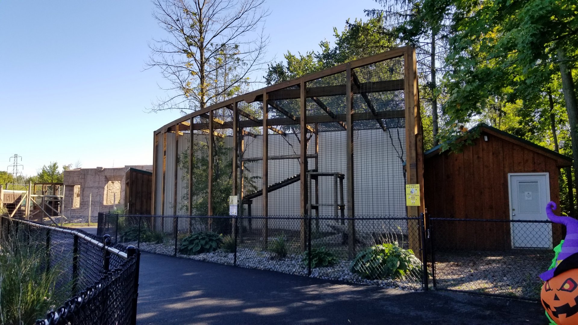 Wild Animal Park - Clouded leopard