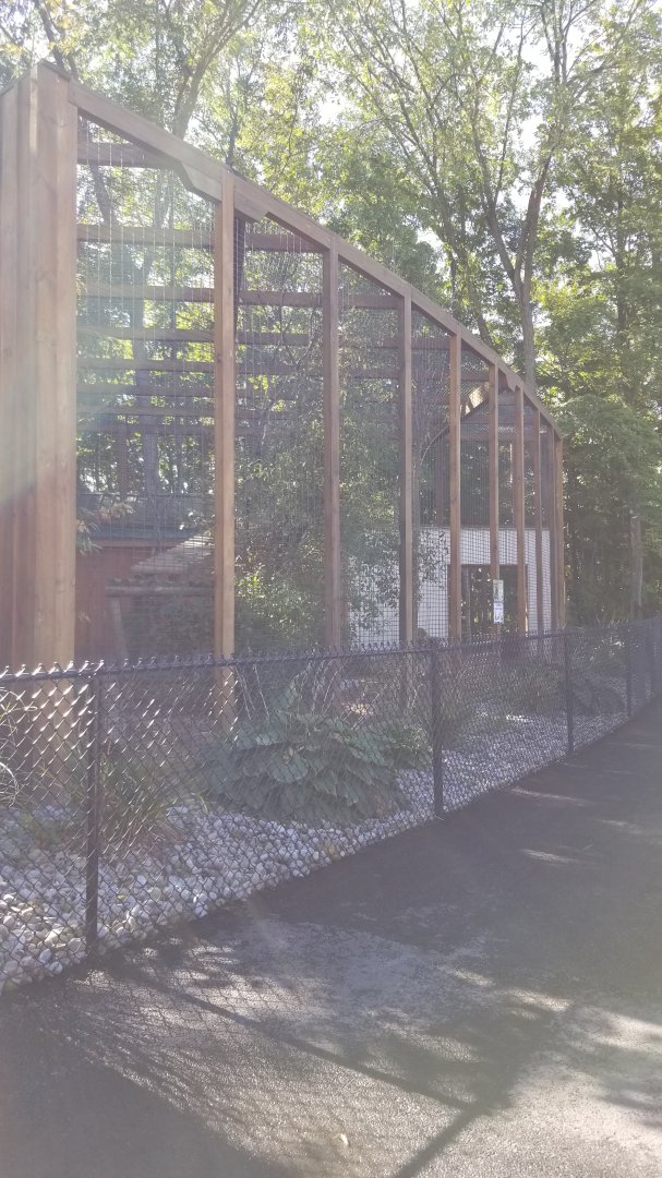 Wild Animal Park - Clouded leopard