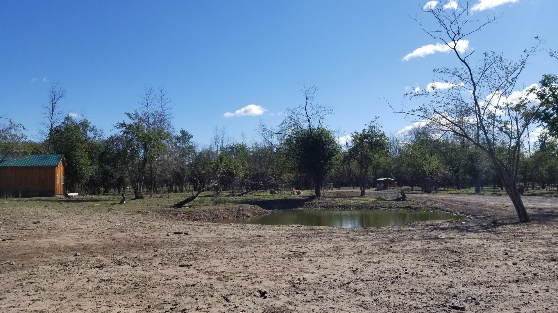 Wild Animal Park - Eland, oryx, zebra