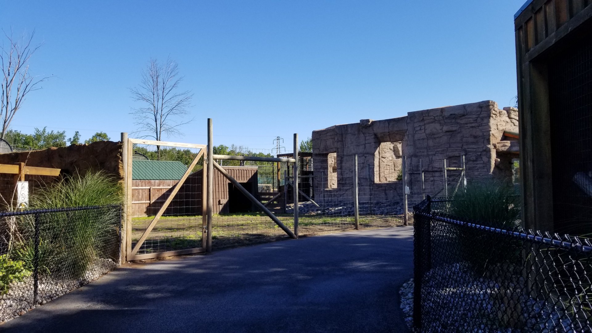 Wild Animal Park - Empty area, black bears