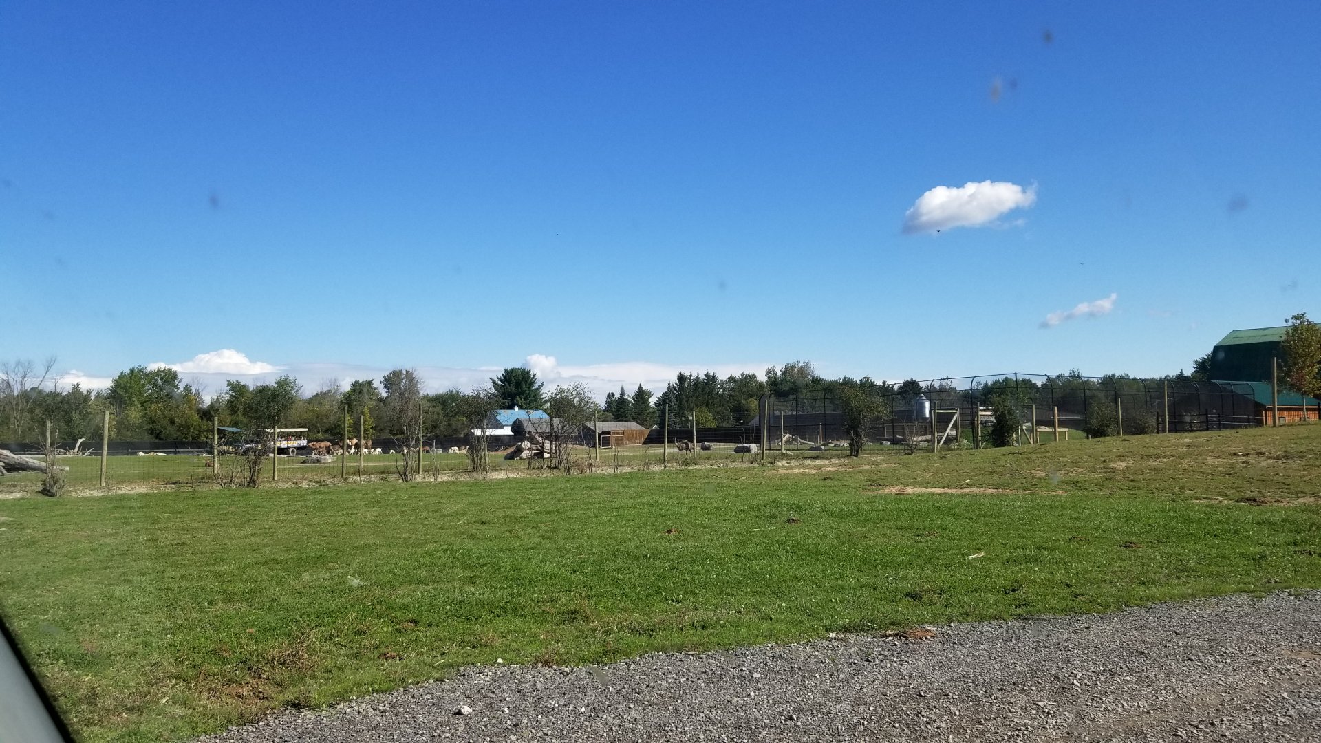 Wild Animal Park - Entrance, tiger exhibit