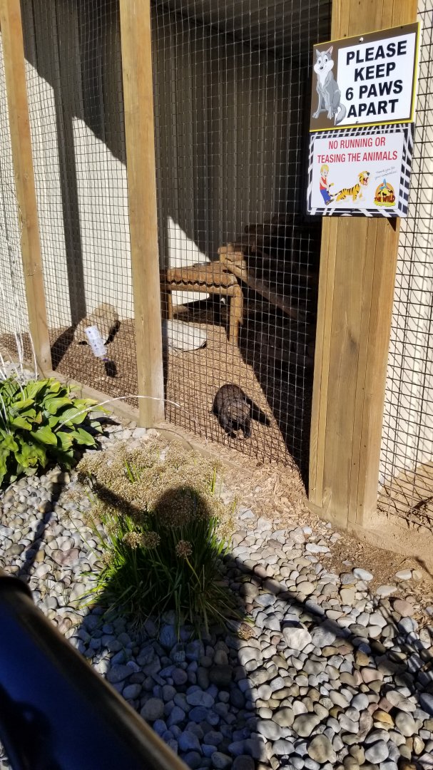 Wild Animal Park - Fisher