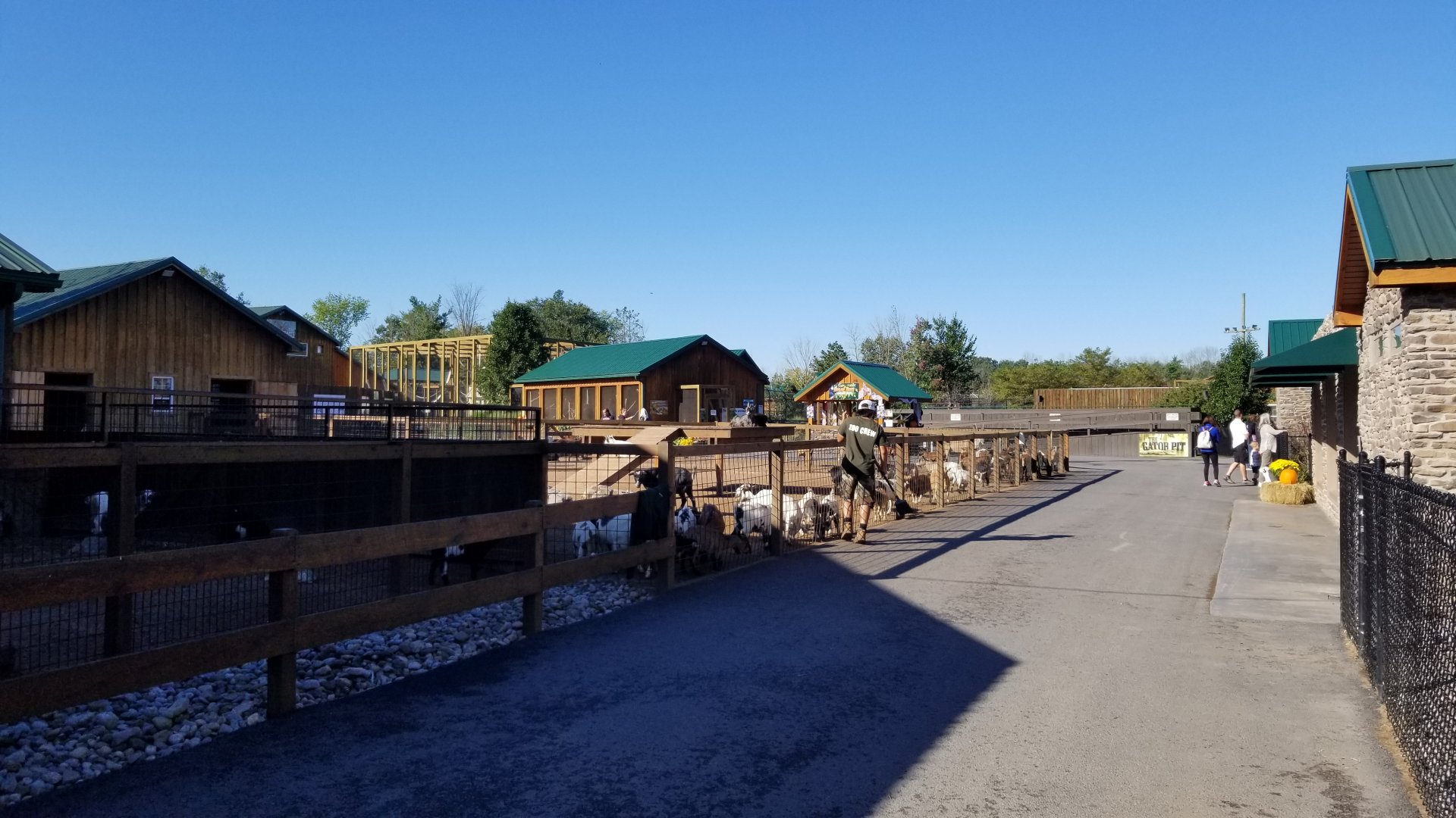 Wild Animal Park - Goats