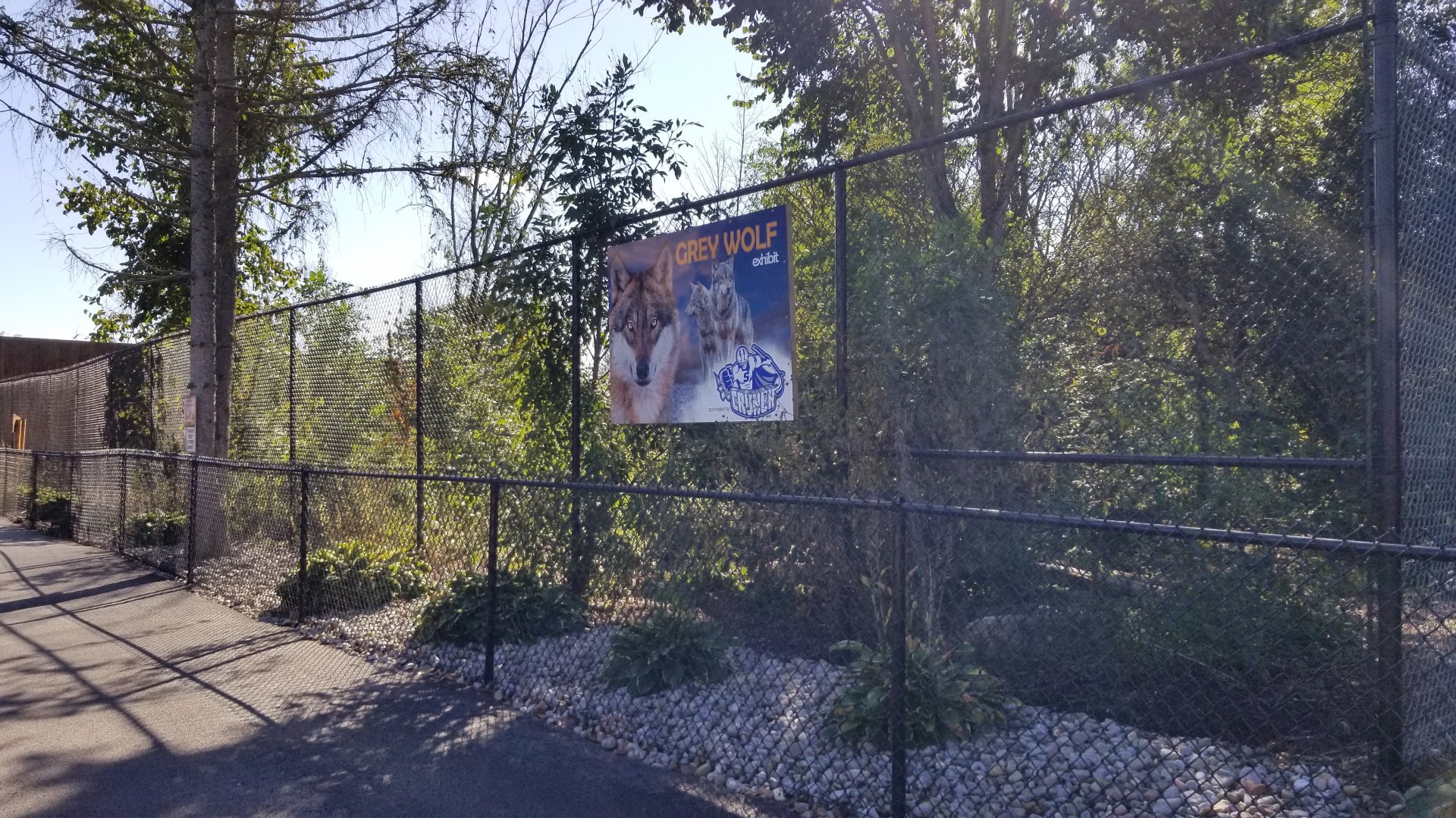Wild Animal Park - Gray wolves