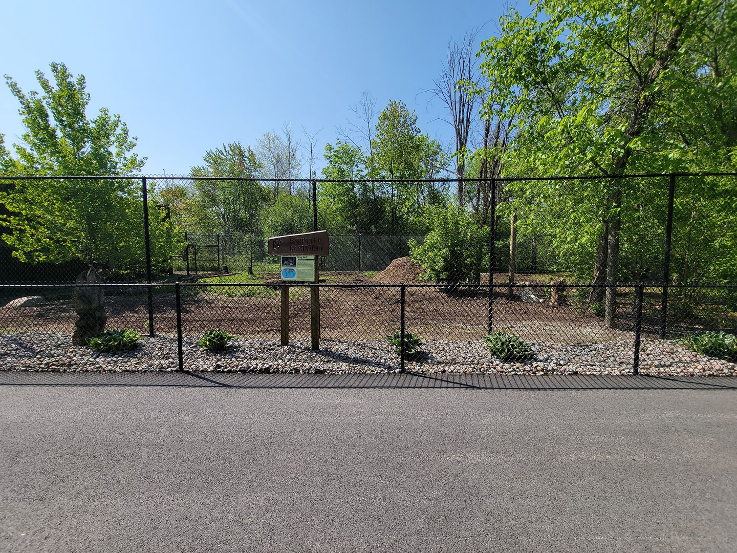 Wild Animal Park - Gray wolves