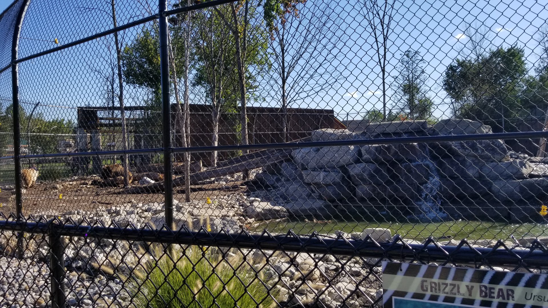 Wild Animal Park - Grizzly bears