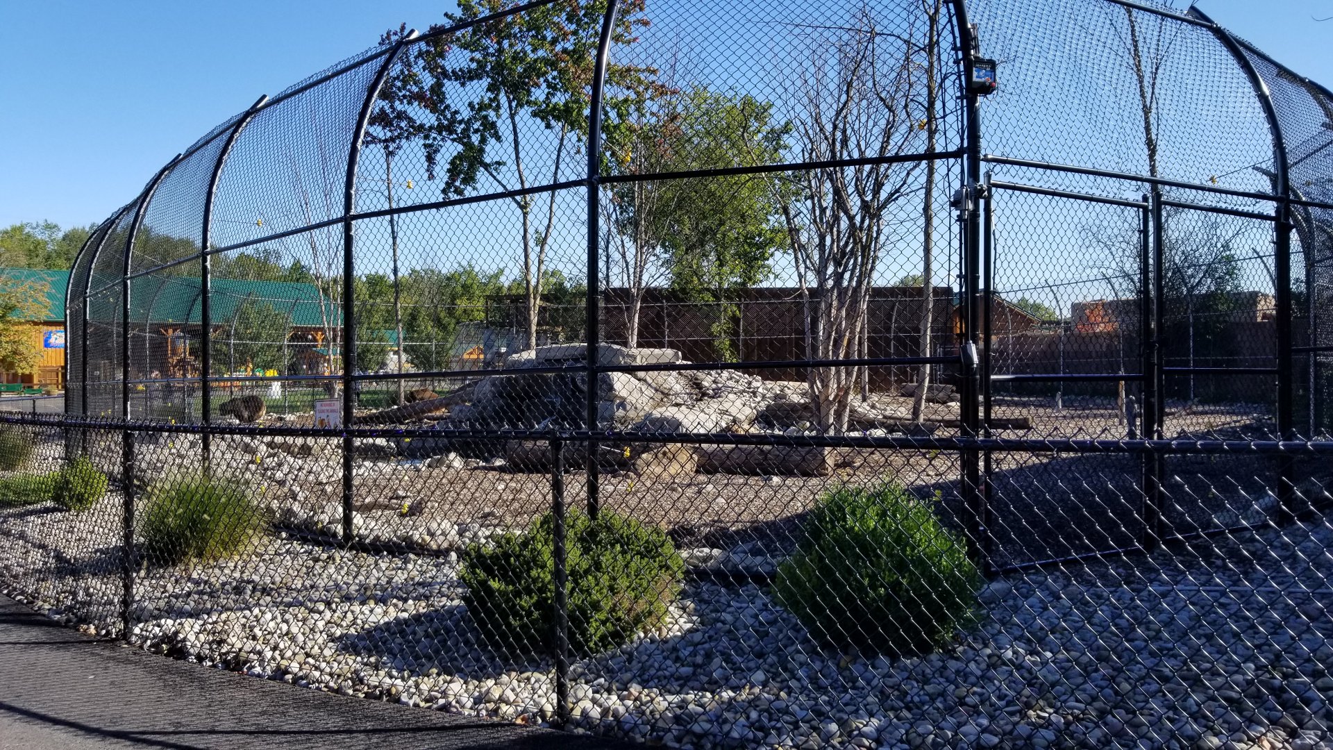 Wild Animal Park - Grizzly bears