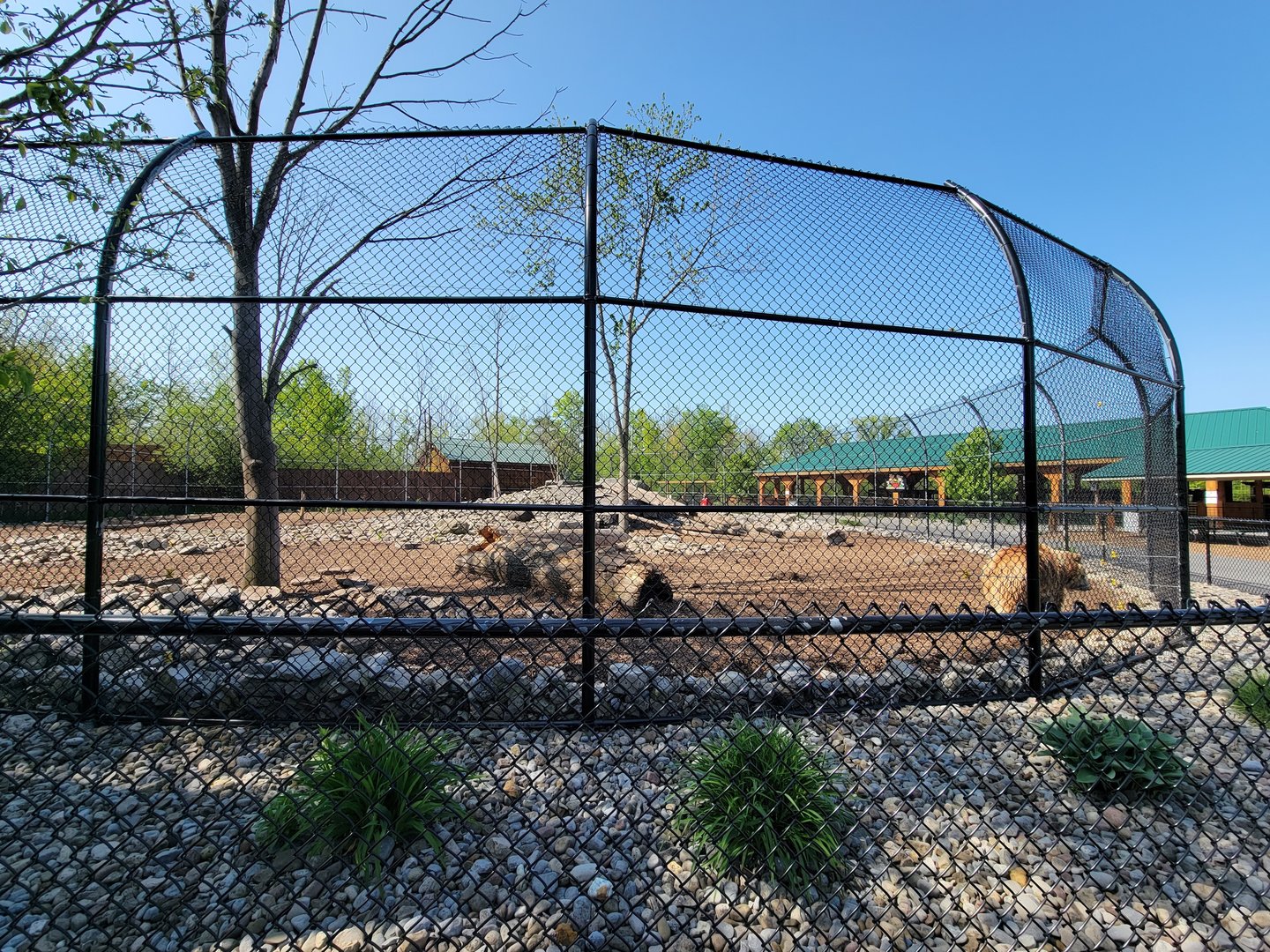 Wild Animal Park - Grizzly bears
