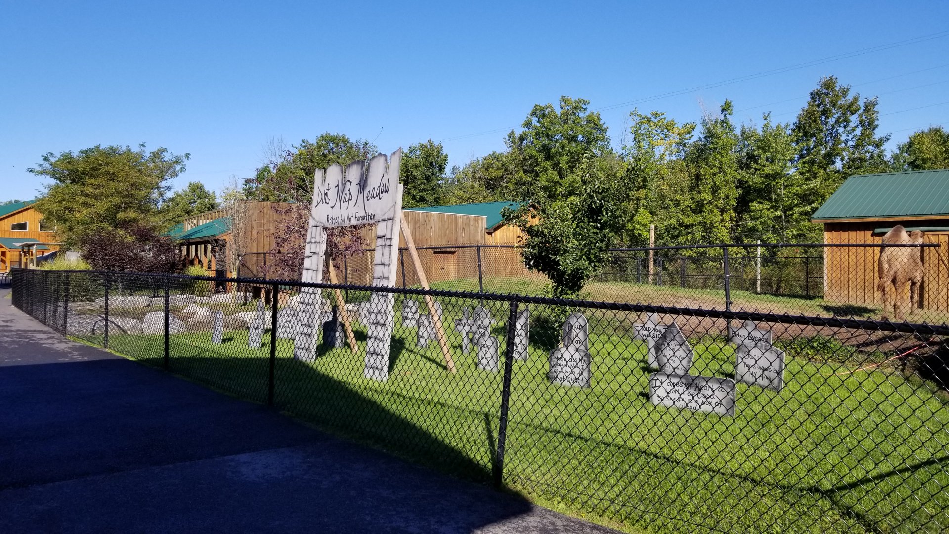 Wild Animal Park - Halloween decorations in empty exhibit space