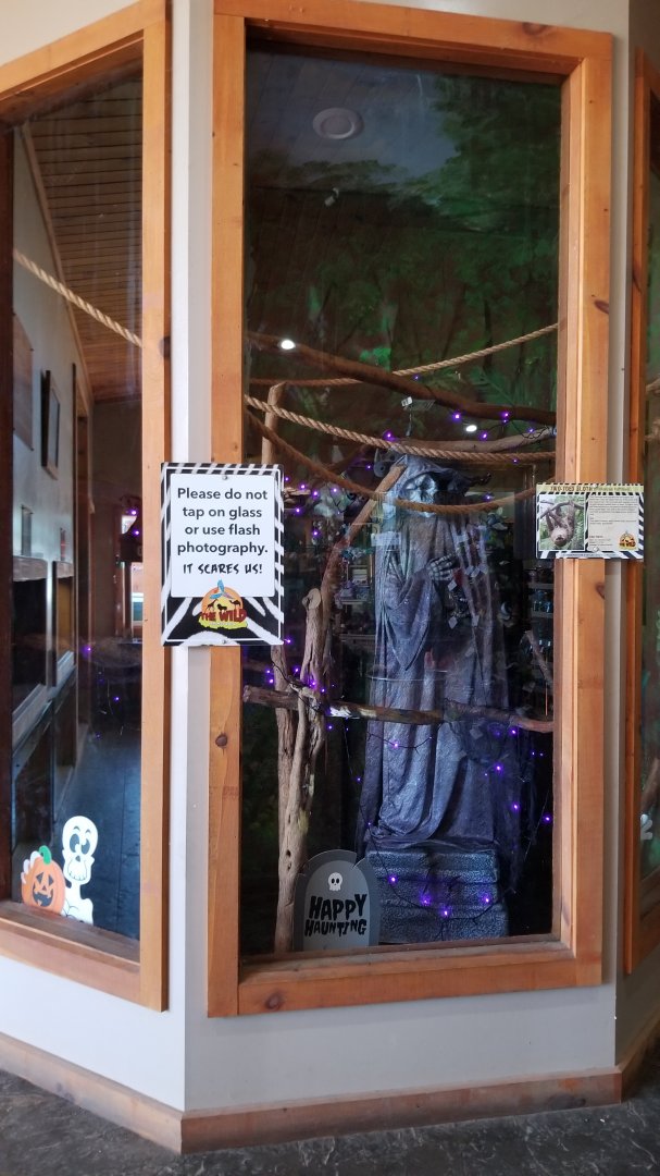 Wild Animal Park - Hoffman's sloth exhibit