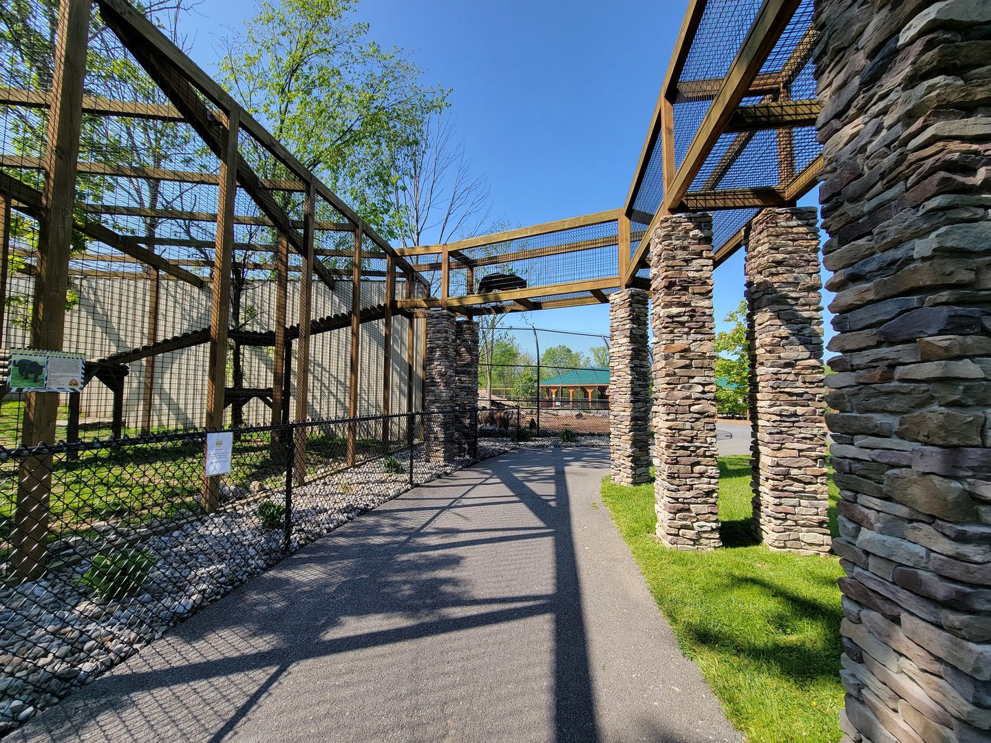 Wild Animal Park - Jaguar and grizzly bear looking at each other