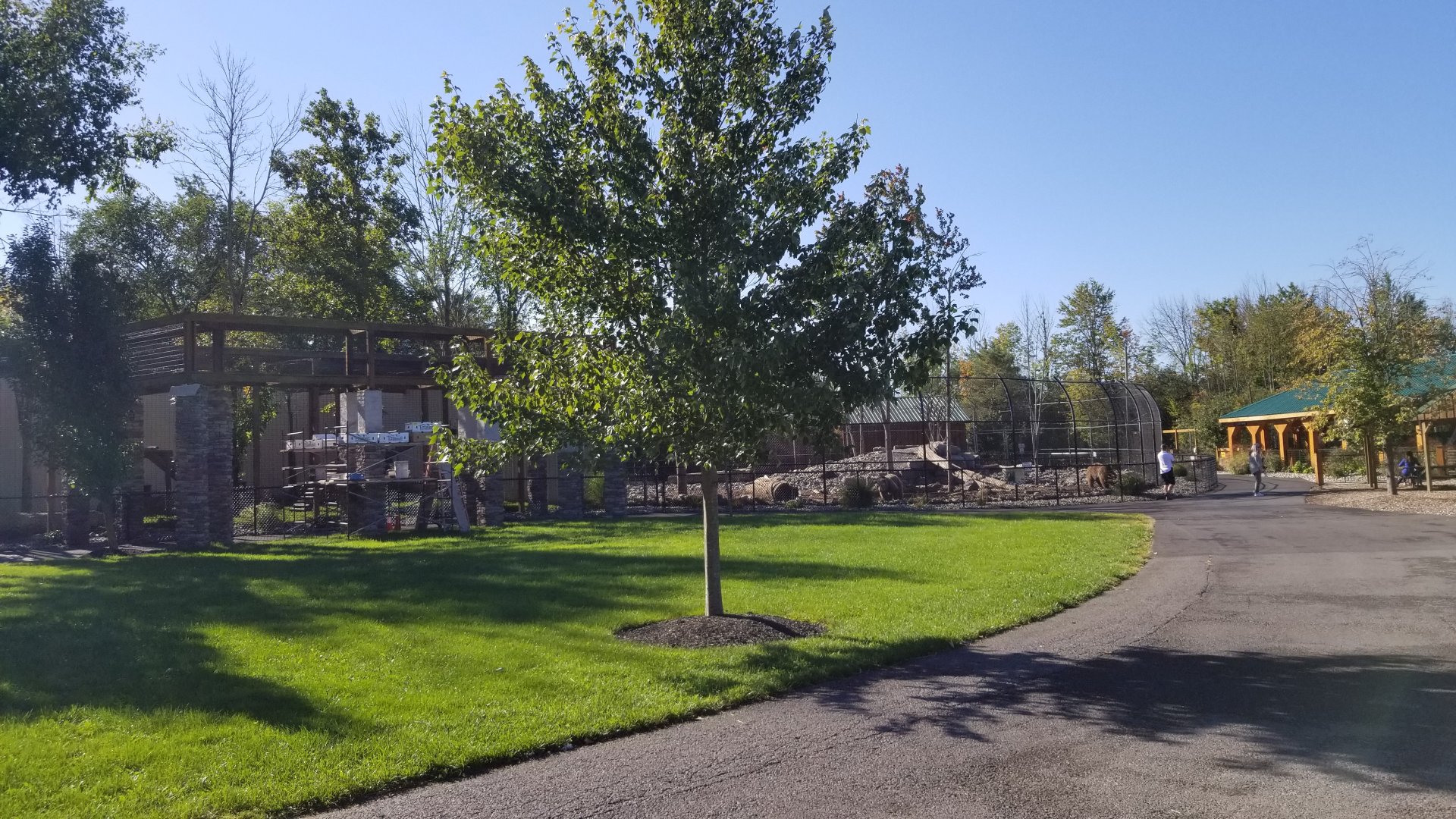 Wild Animal Park - Jaguar, grizzly bear