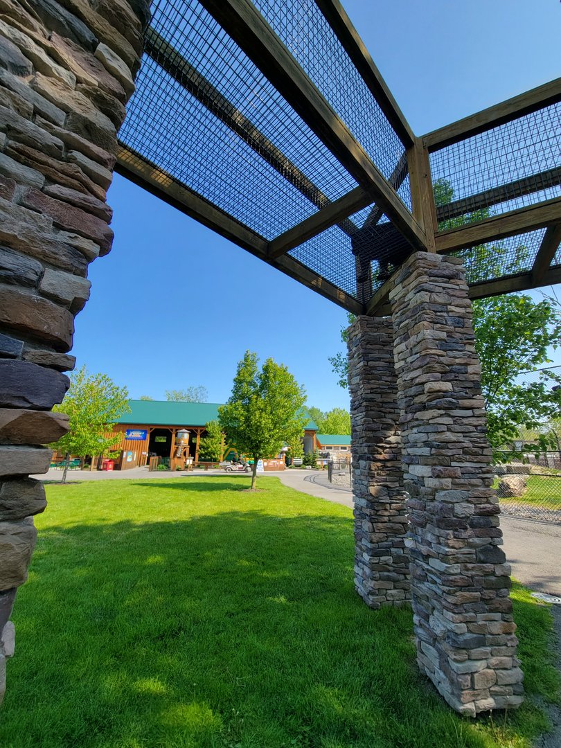Wild Animal Park - Jaguar watching the people working in the entertainment area