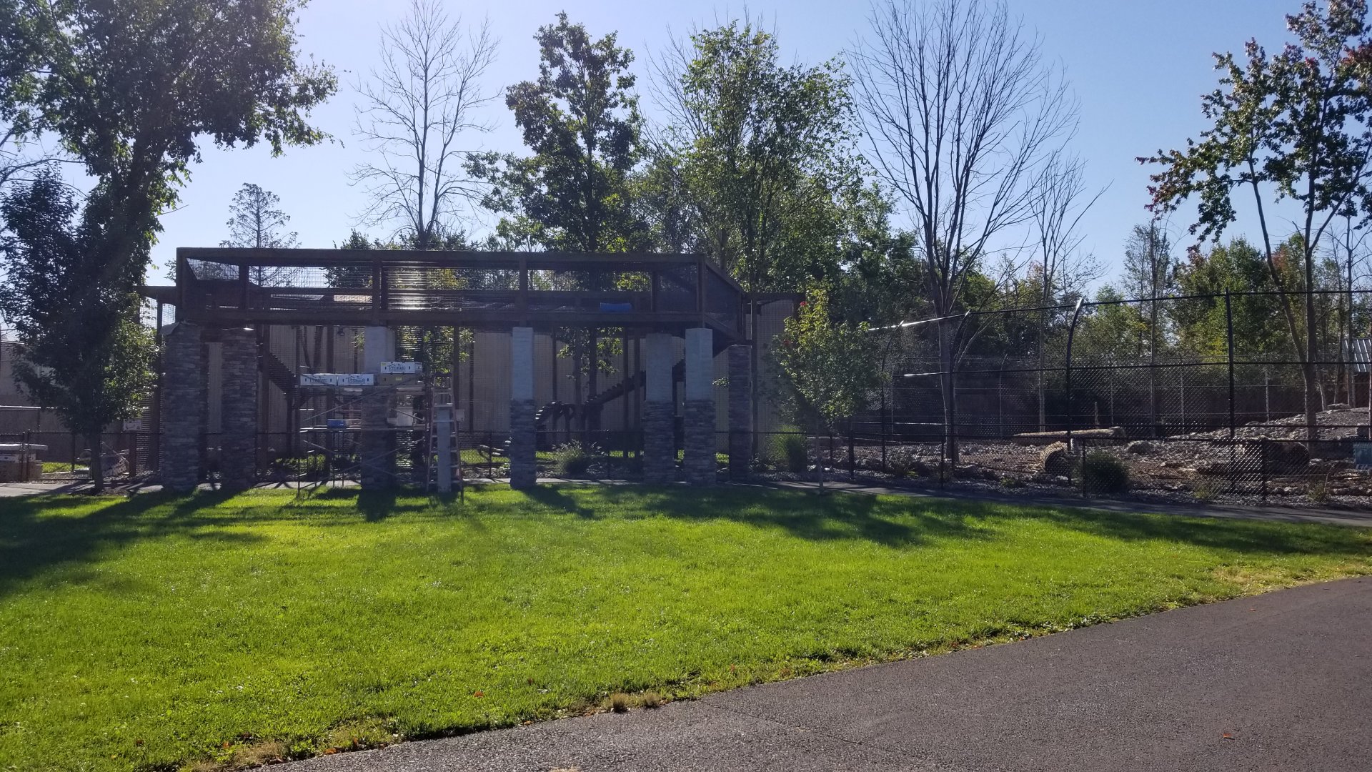 Wild Animal Park - Jaguar