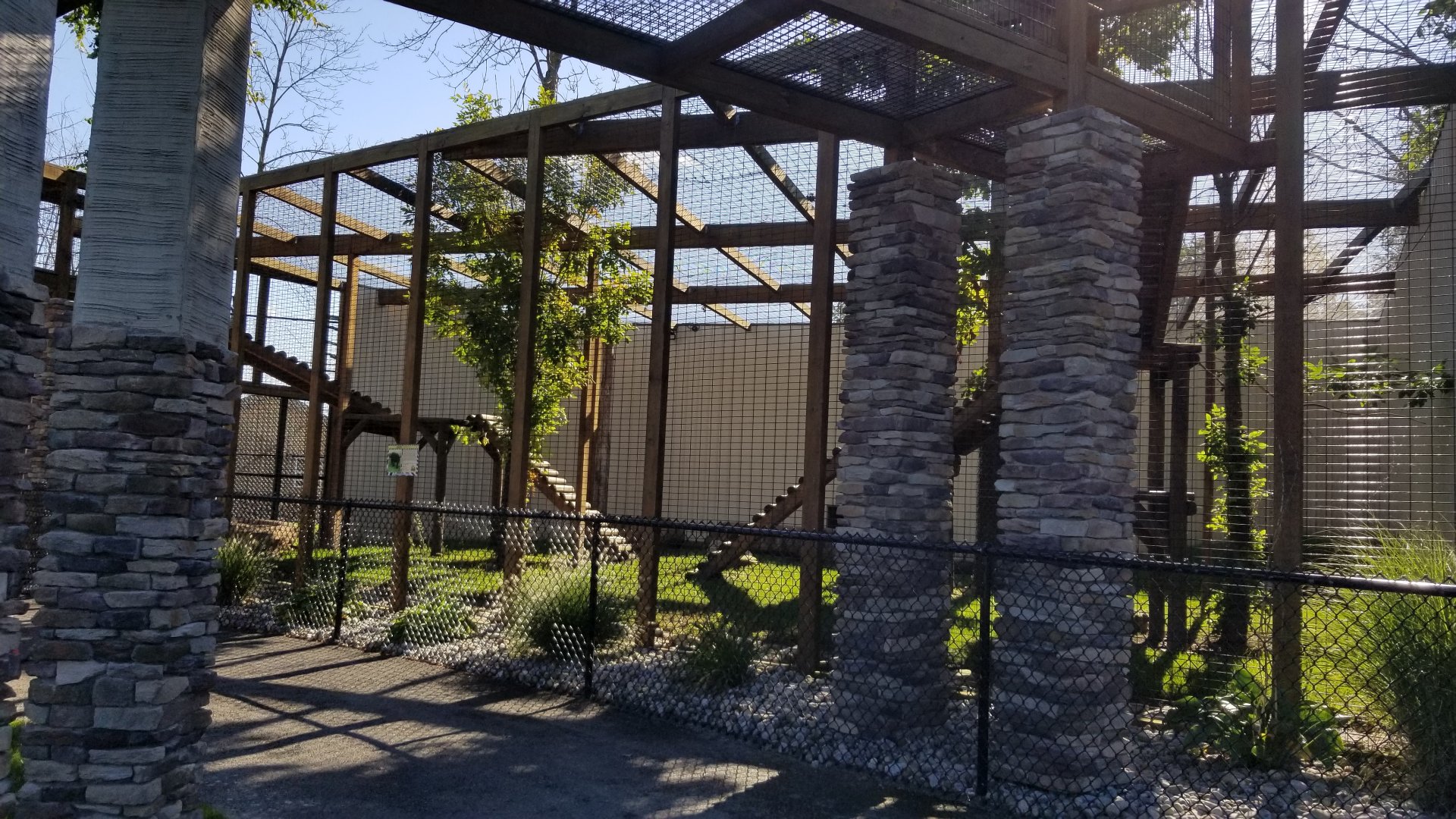 Wild Animal Park - Jaguar