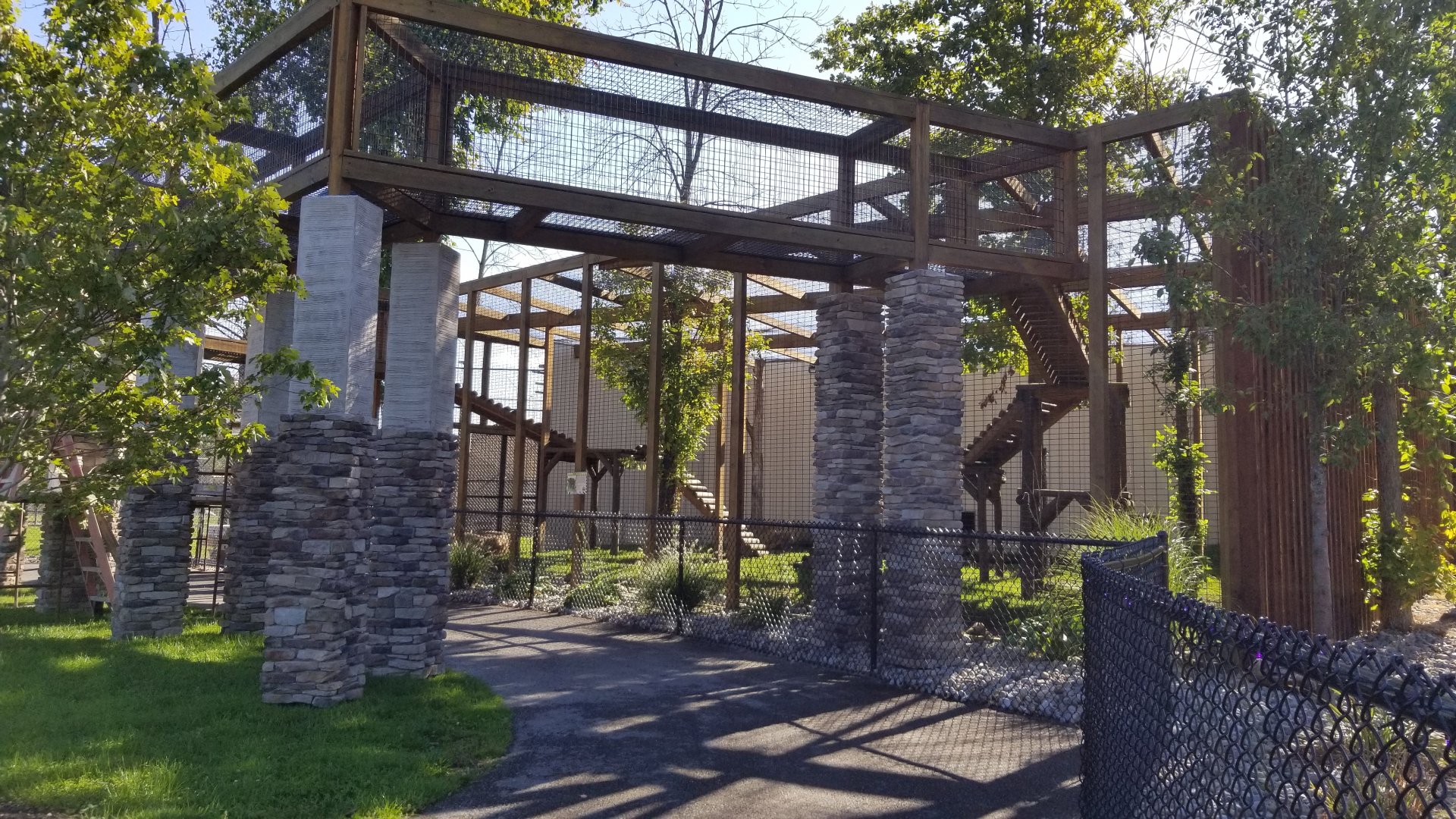 Wild Animal Park - Jaguar