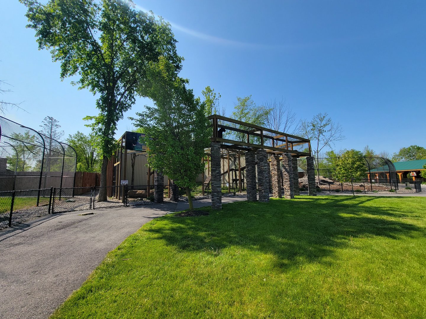 Wild Animal Park - Jaguars