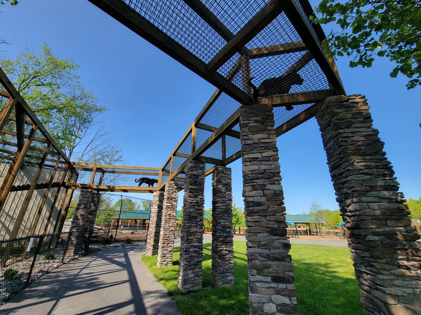 Wild Animal Park - Jaguars